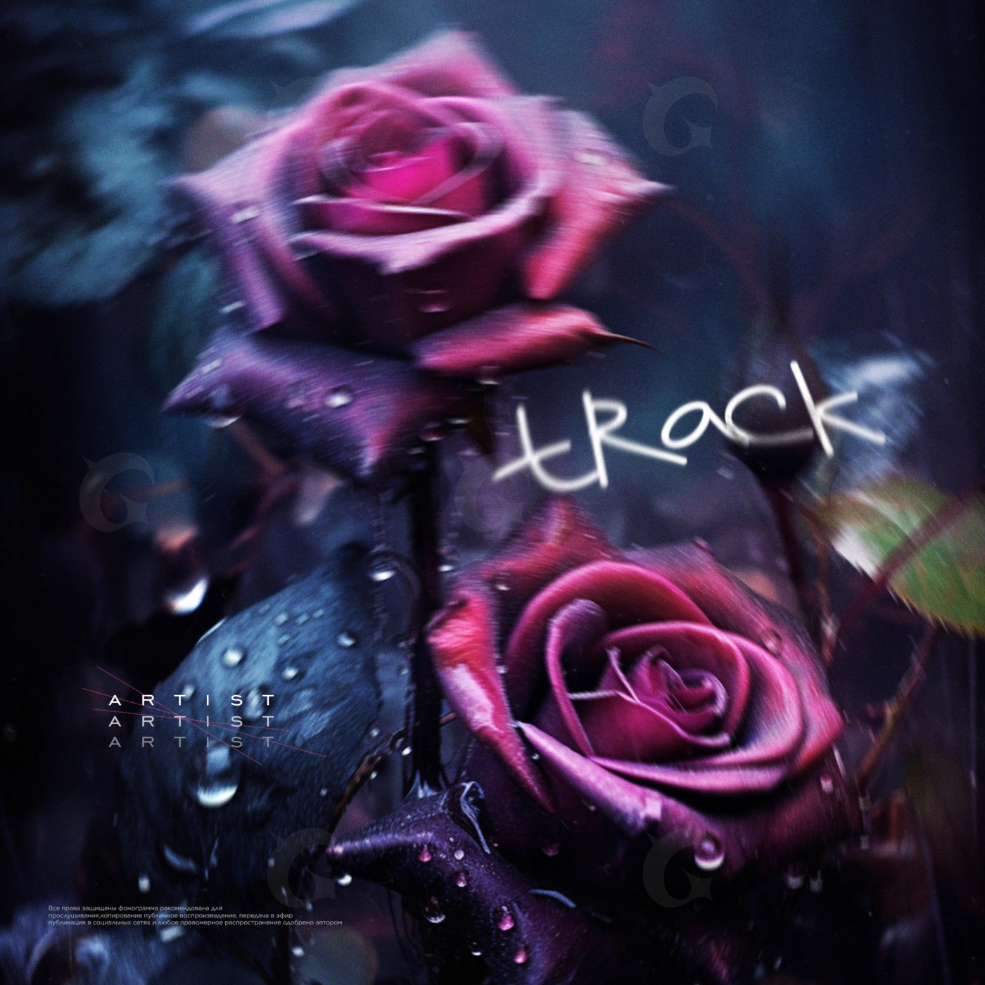 Velvet rose droplets