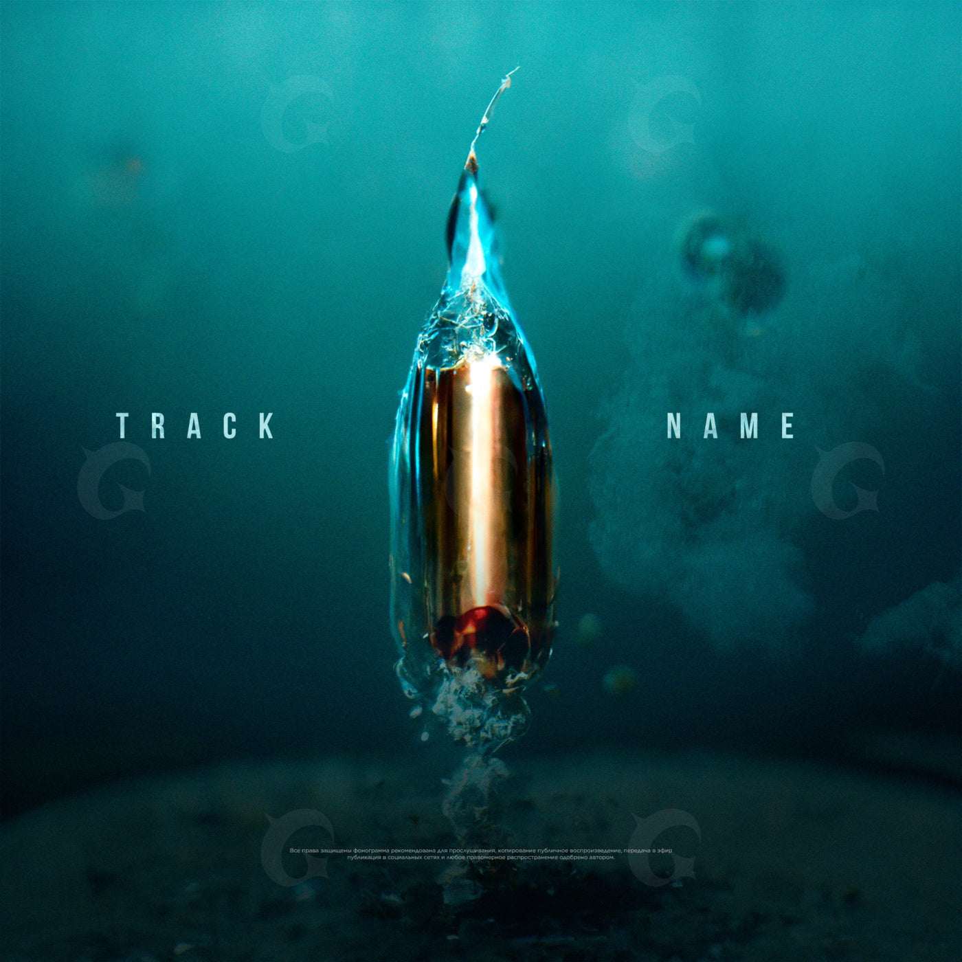 Bullet rising water