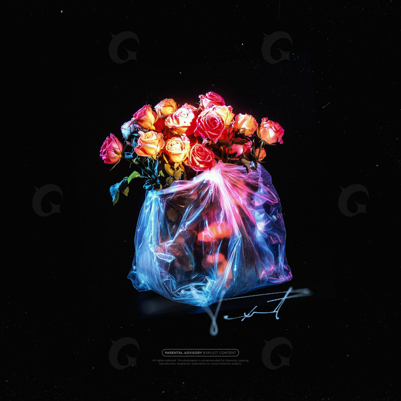 Neon roses in bag