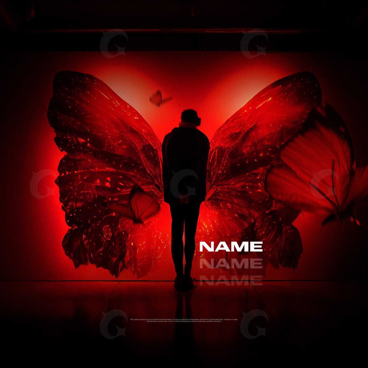 Man with wings