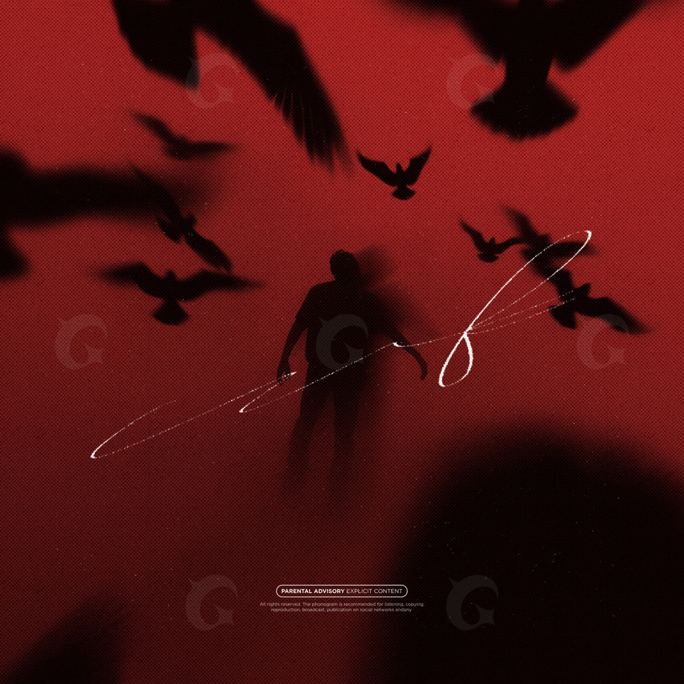 Silhouette among birds