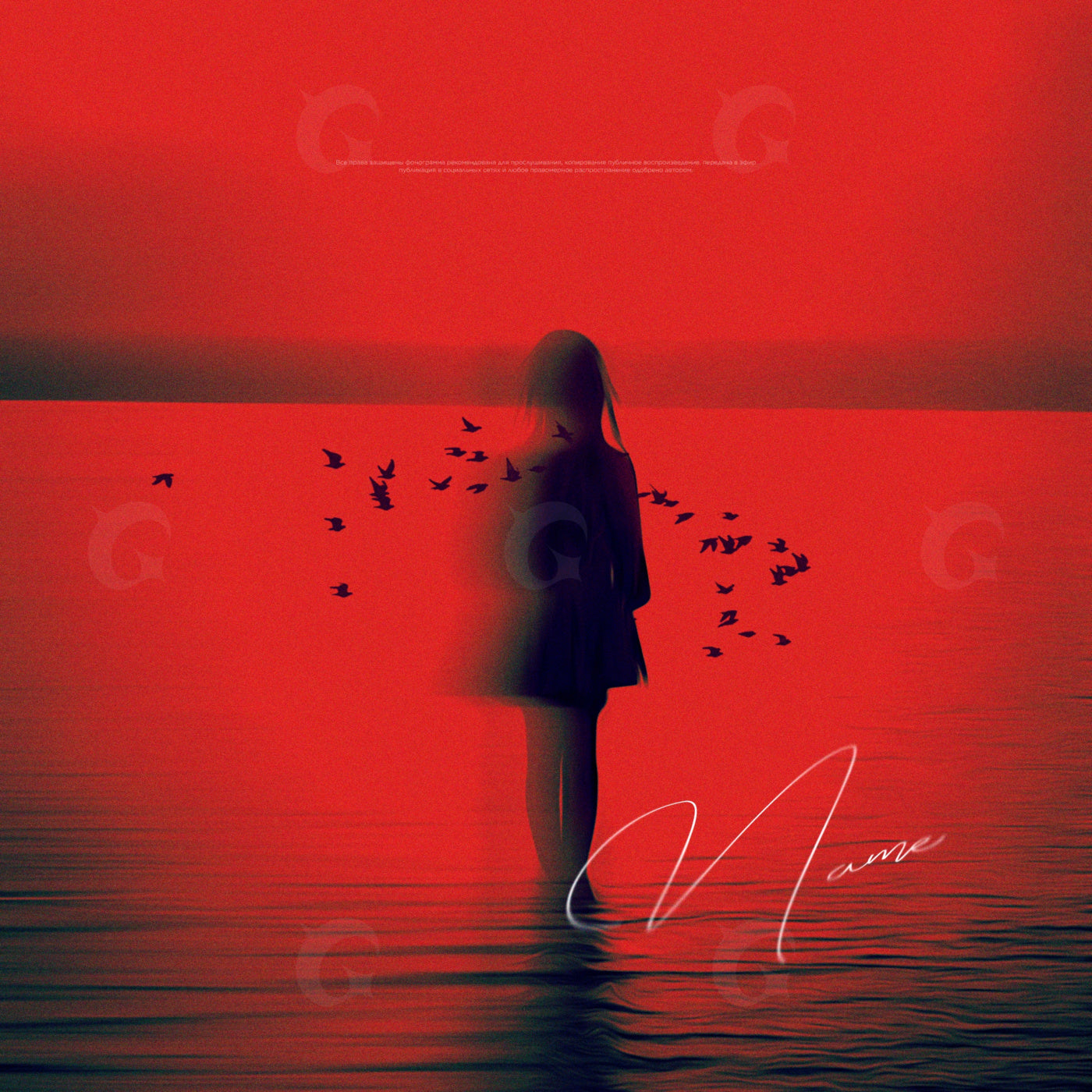 Silhouette among flock