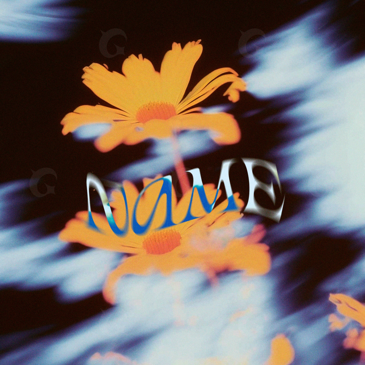 Floating daisy echoes