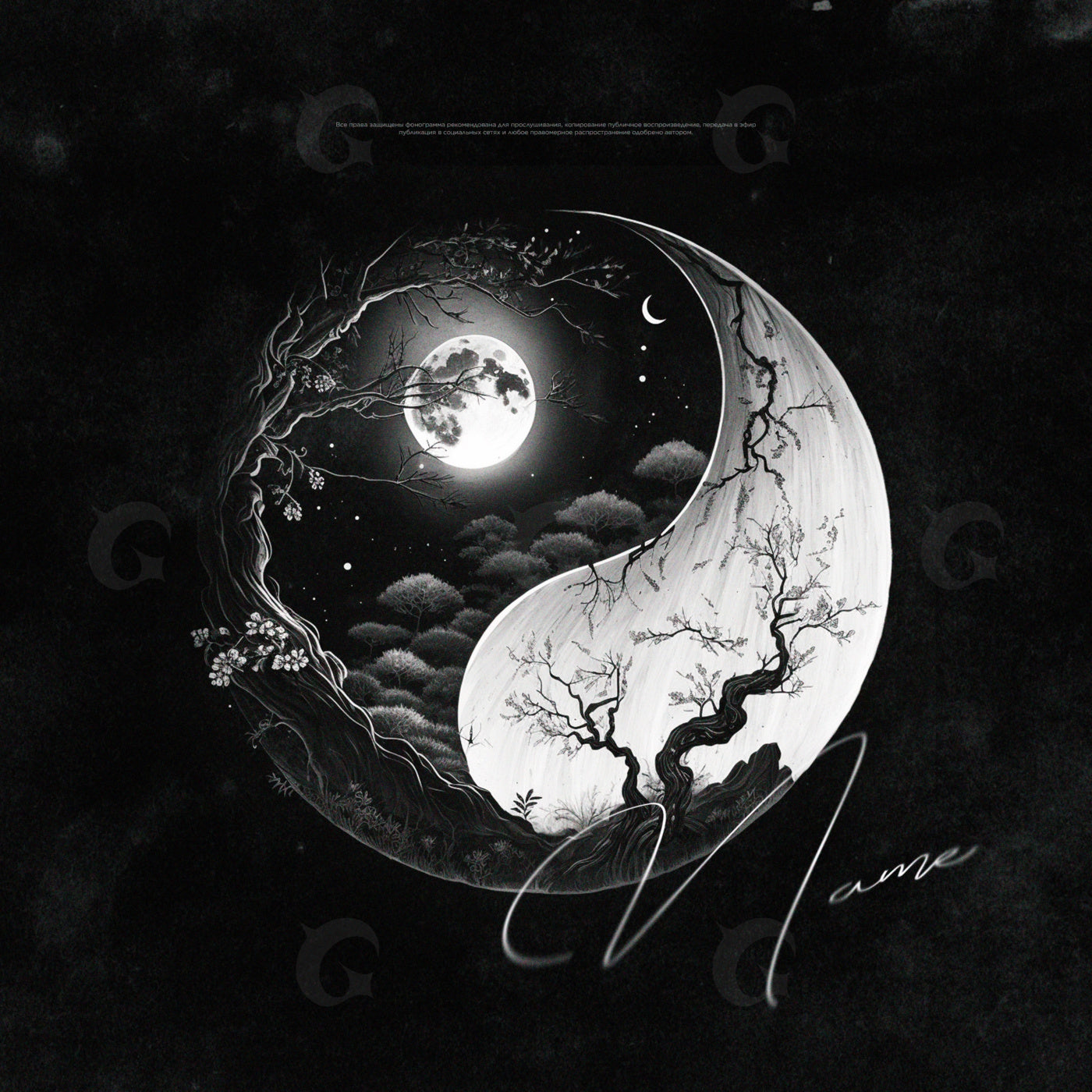 Moonlit yin yang