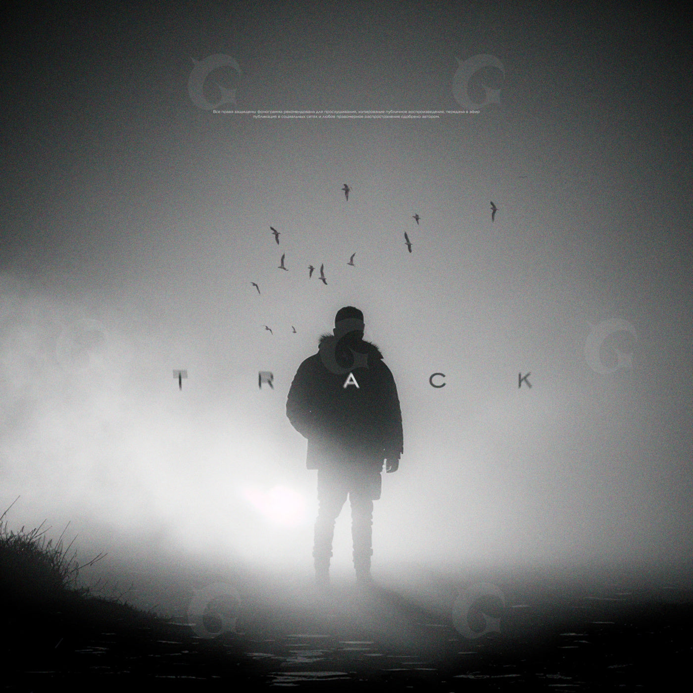 Silhouette walking fog