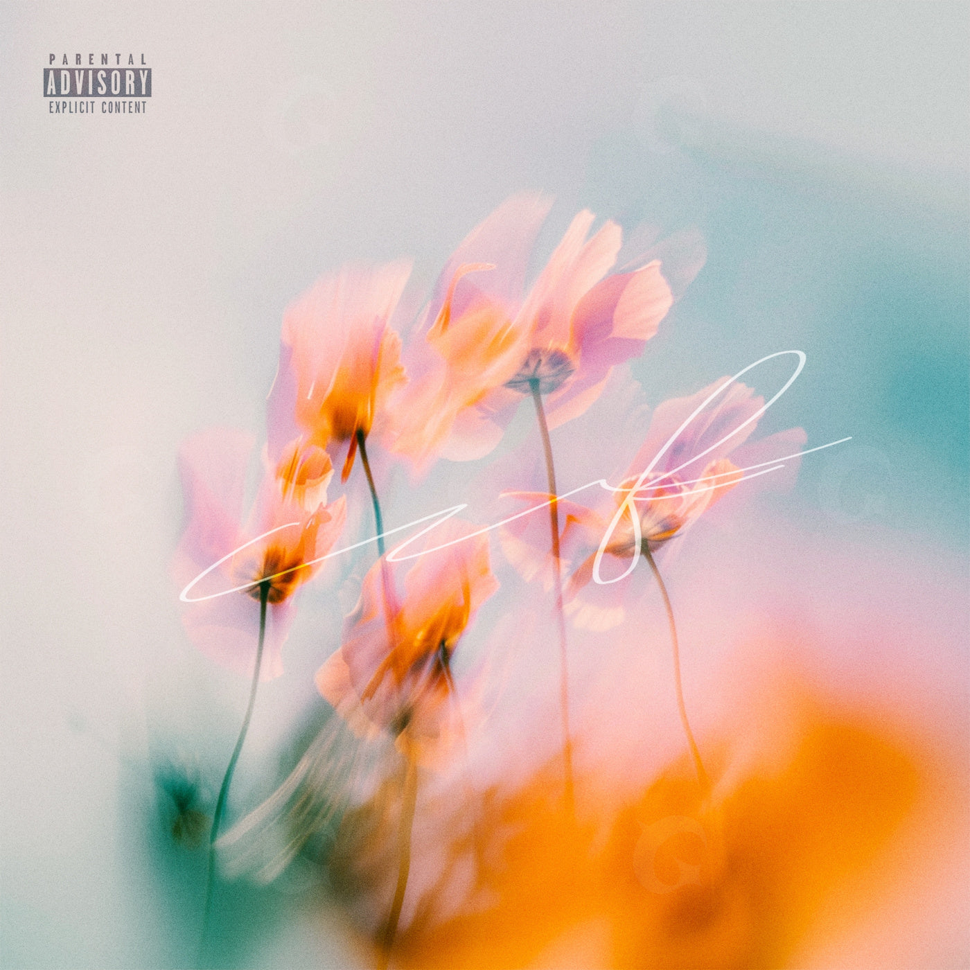 Fading wildflower drift