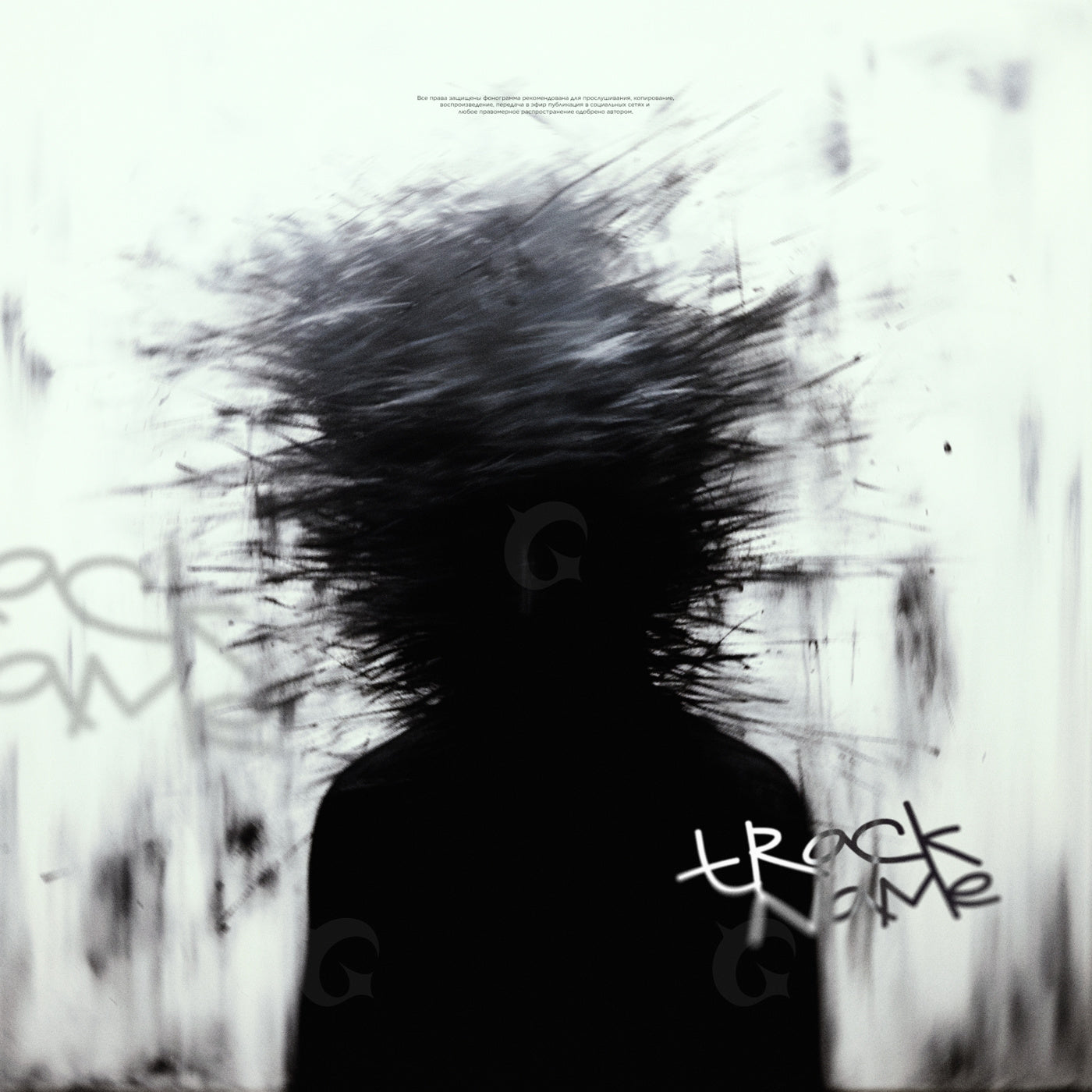 Silhouette with hairplosion