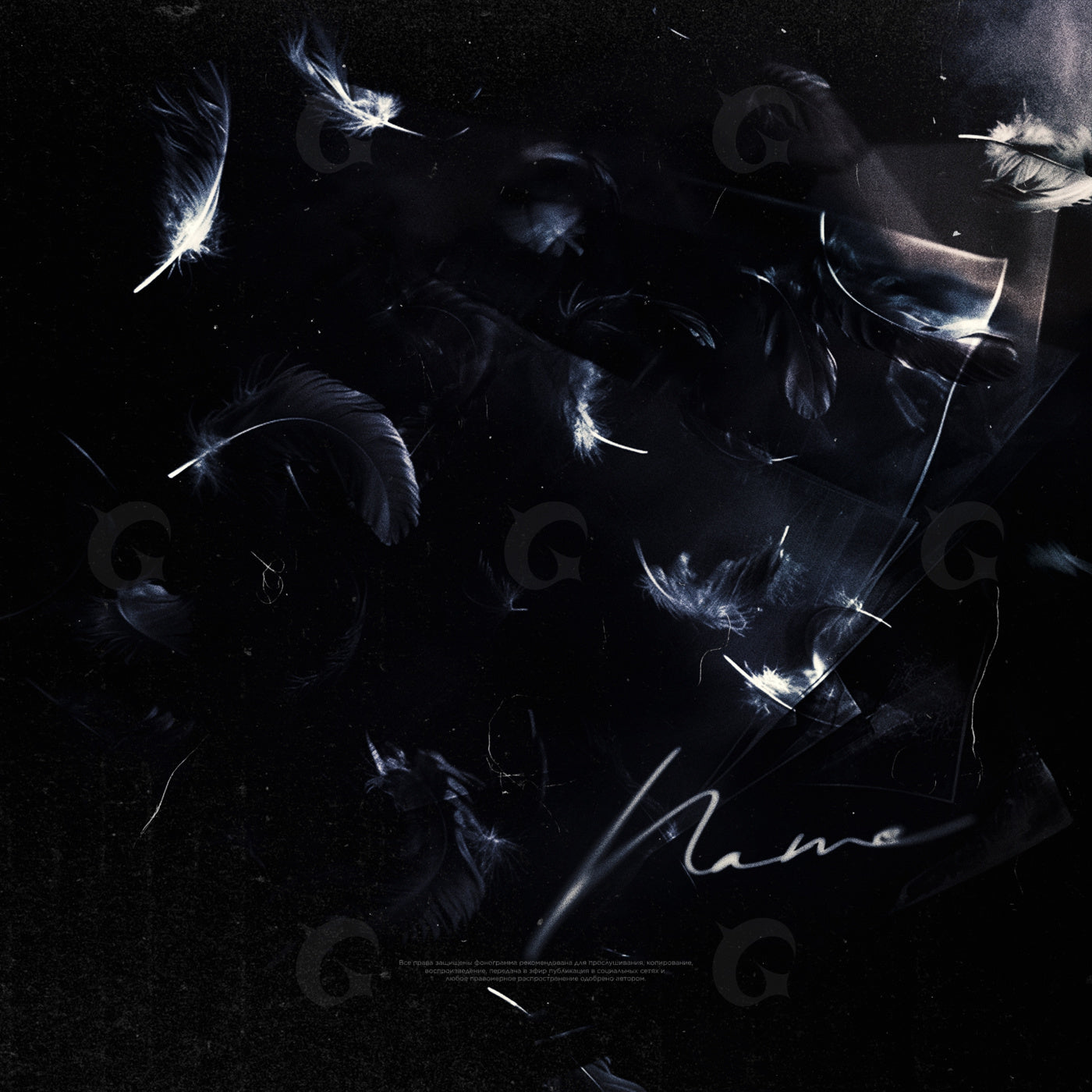 Feathers drifting night