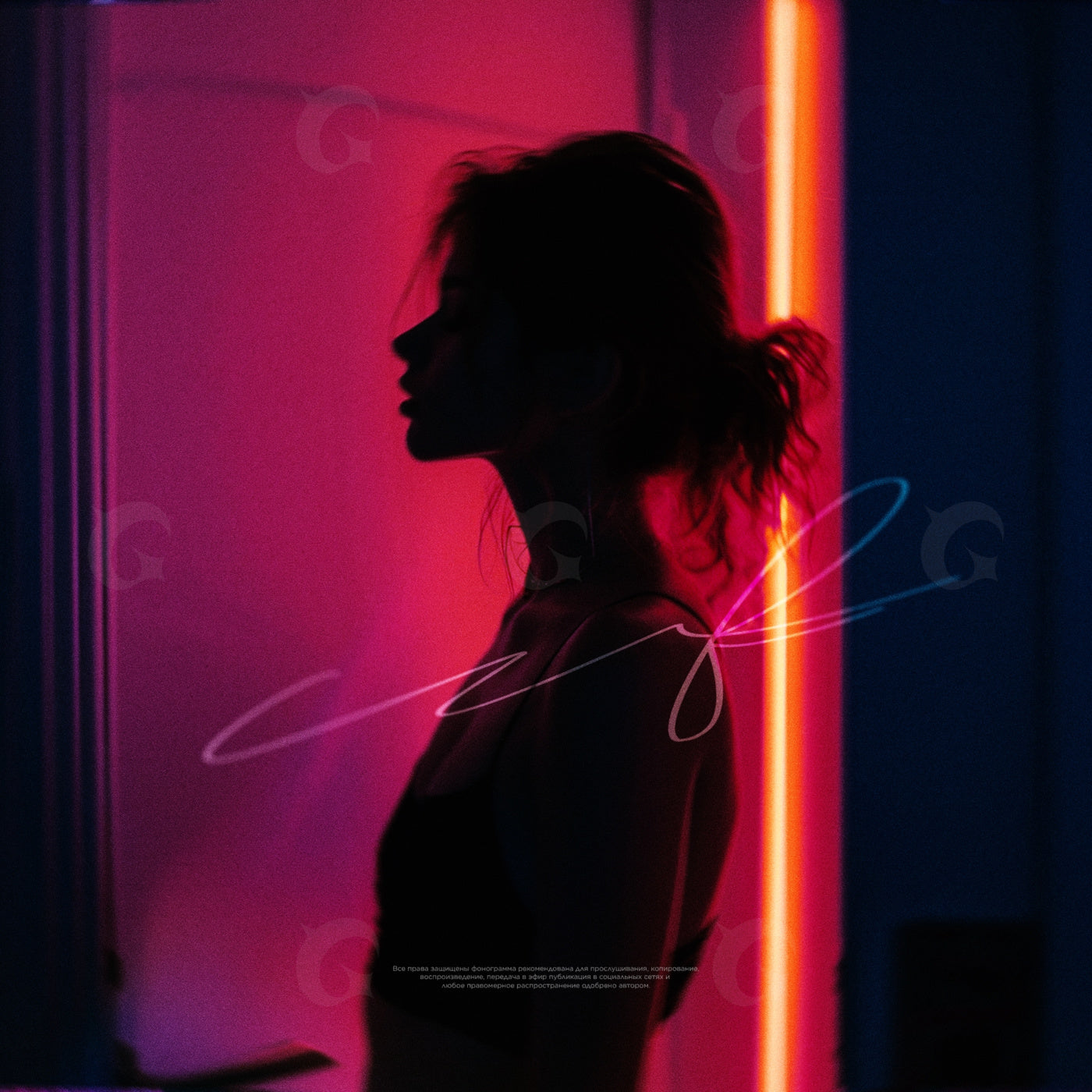 Neon silhouette night