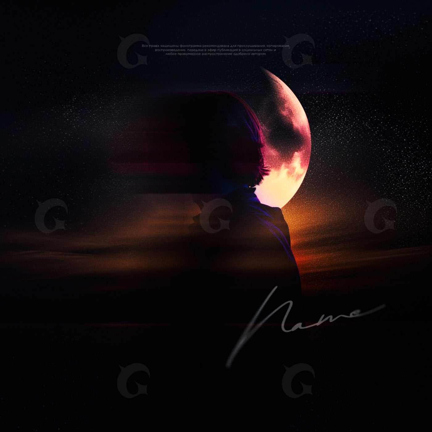 Moonlit silhouette drift