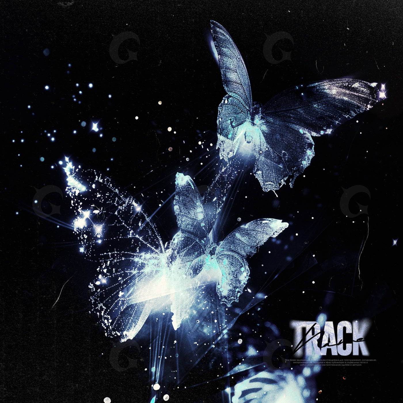 Luminous butterfly flight