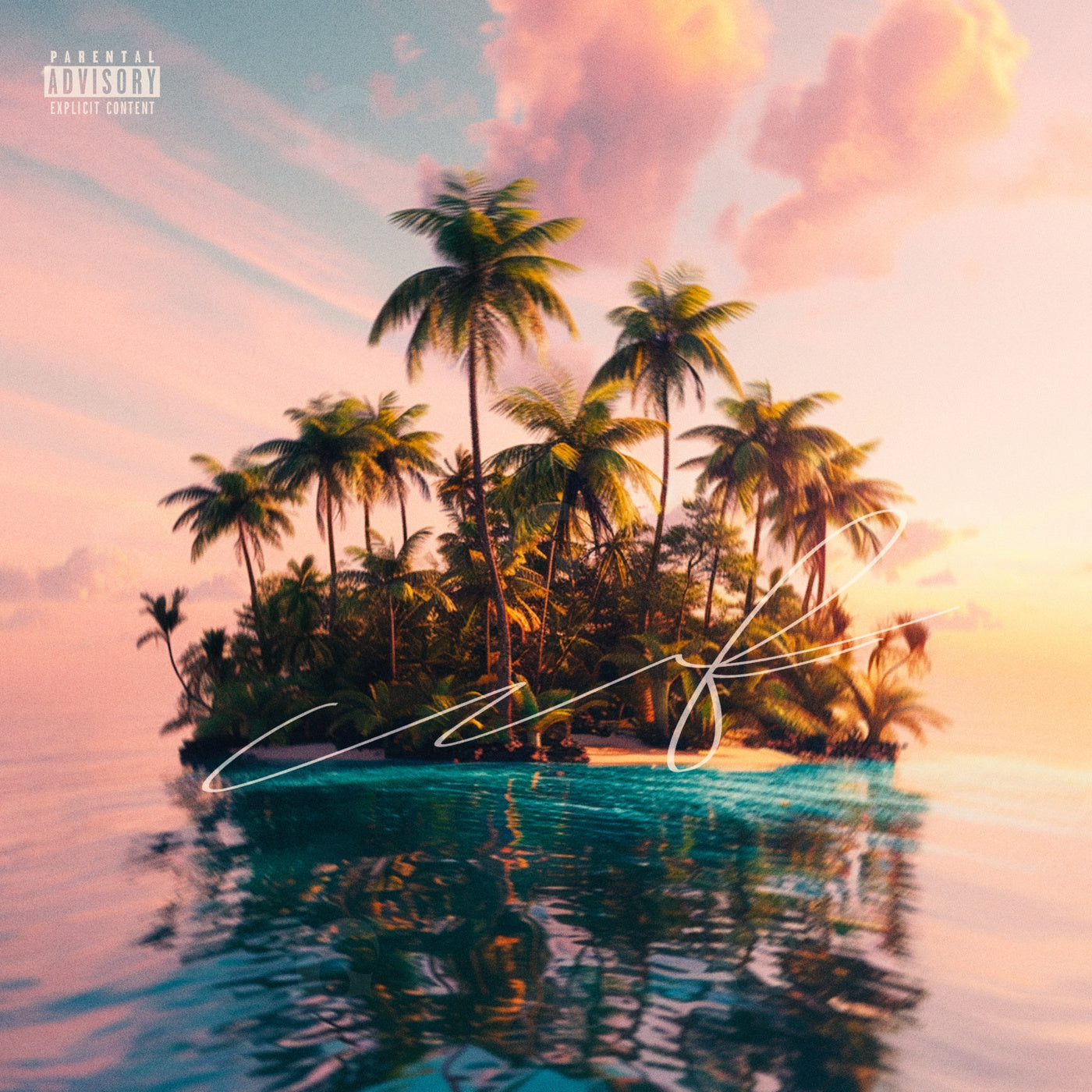 Island palm sunset