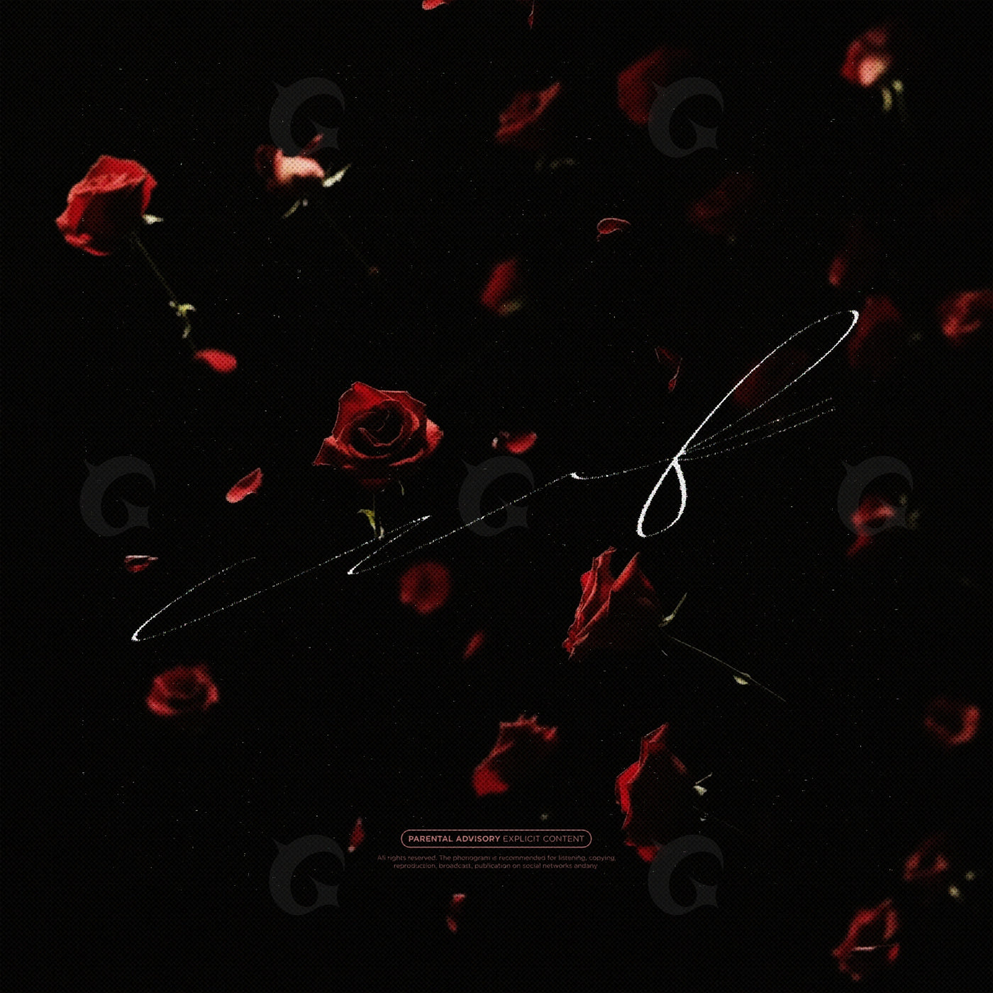 Falling rose petals