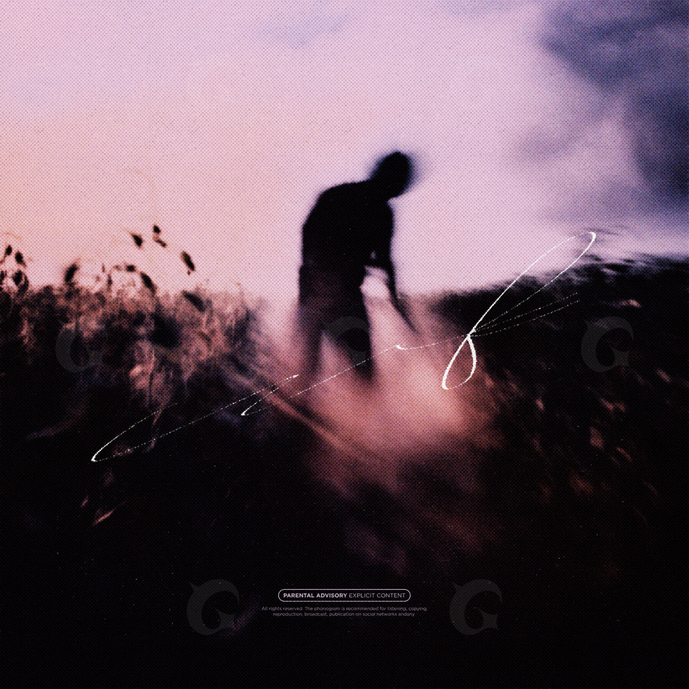 Silhouette walking grass