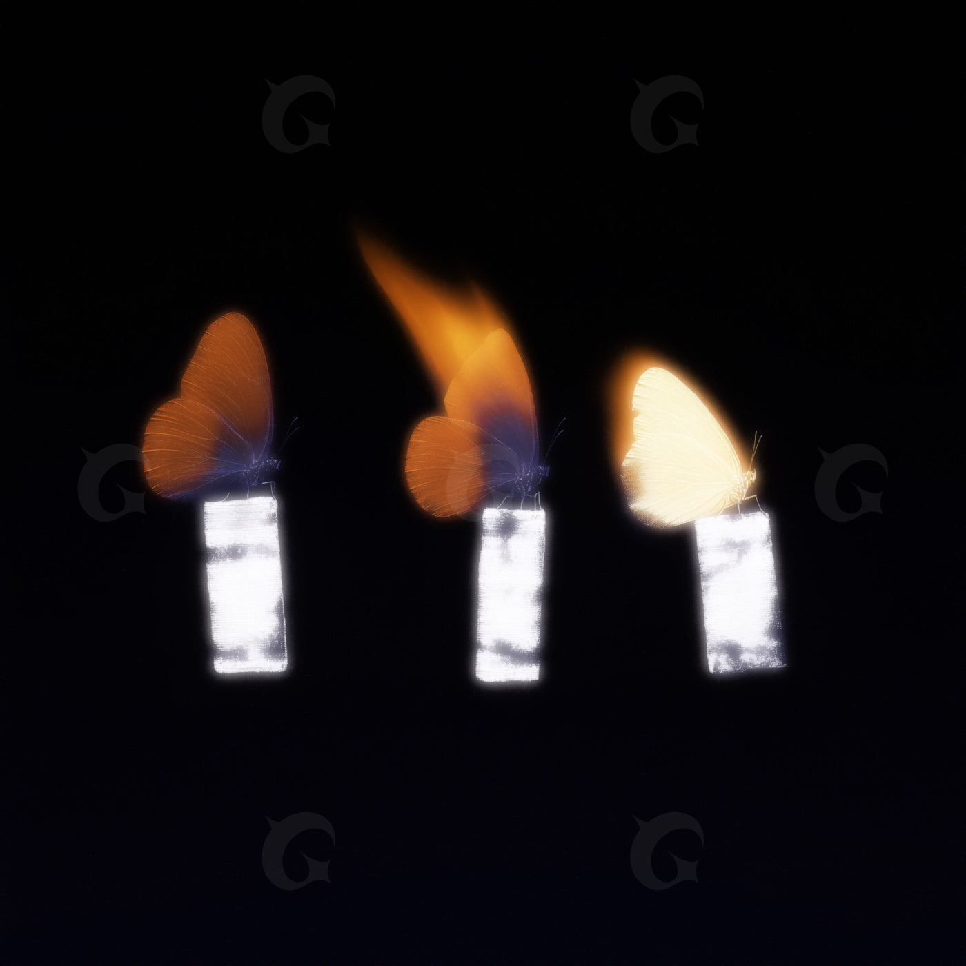 Butterfly flame sequence