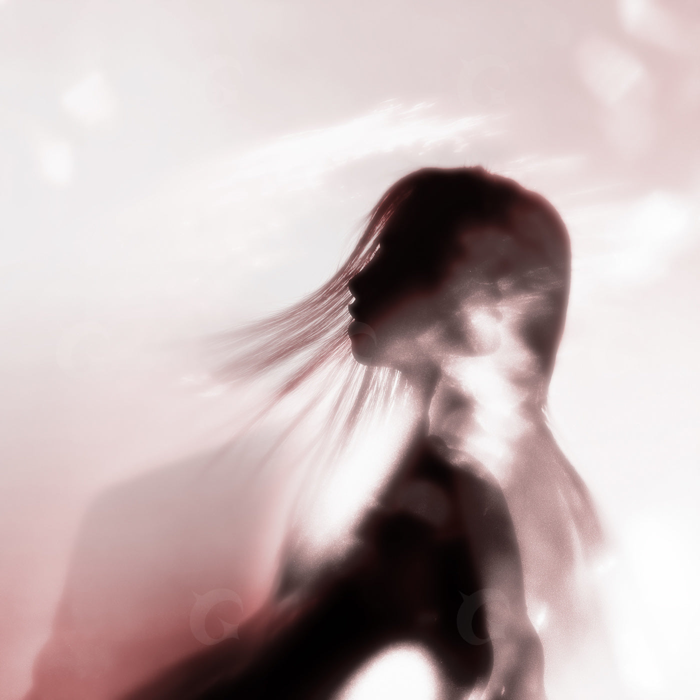Whispering wind silhouette