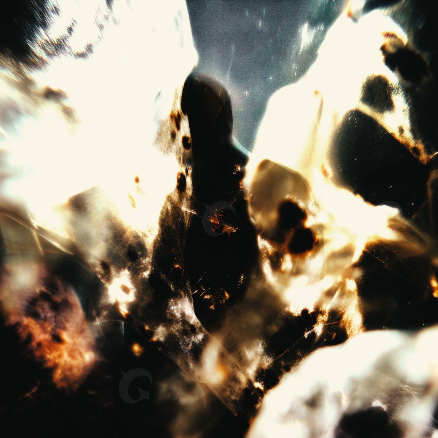 Shadowed amid flames