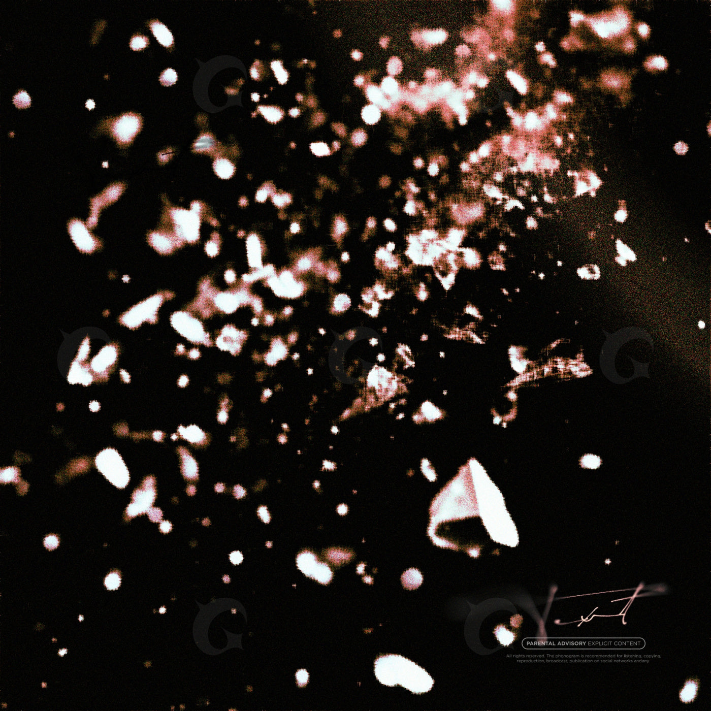 Falling paper fragments