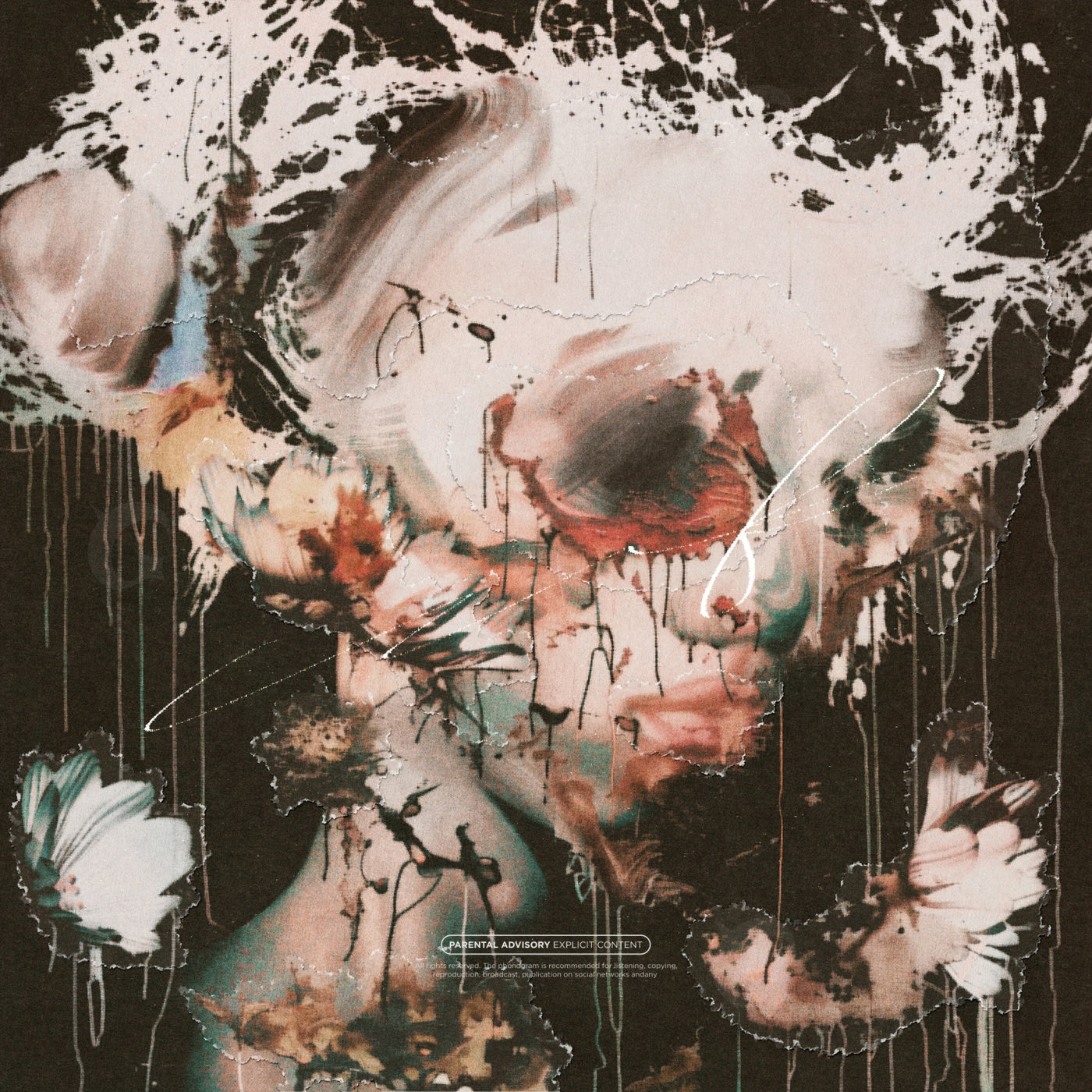 Fractured floral portrait