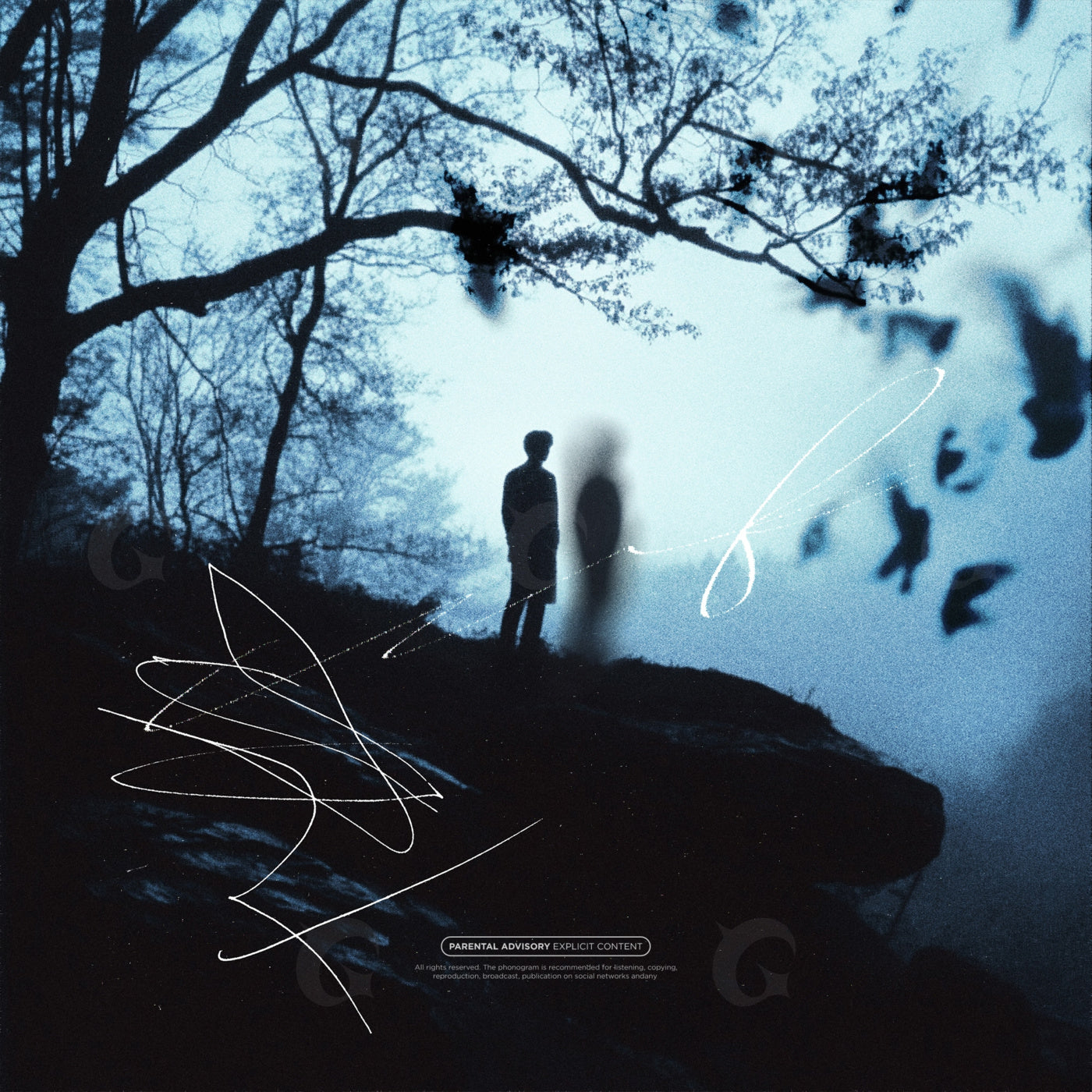 Silhouette beside apparition