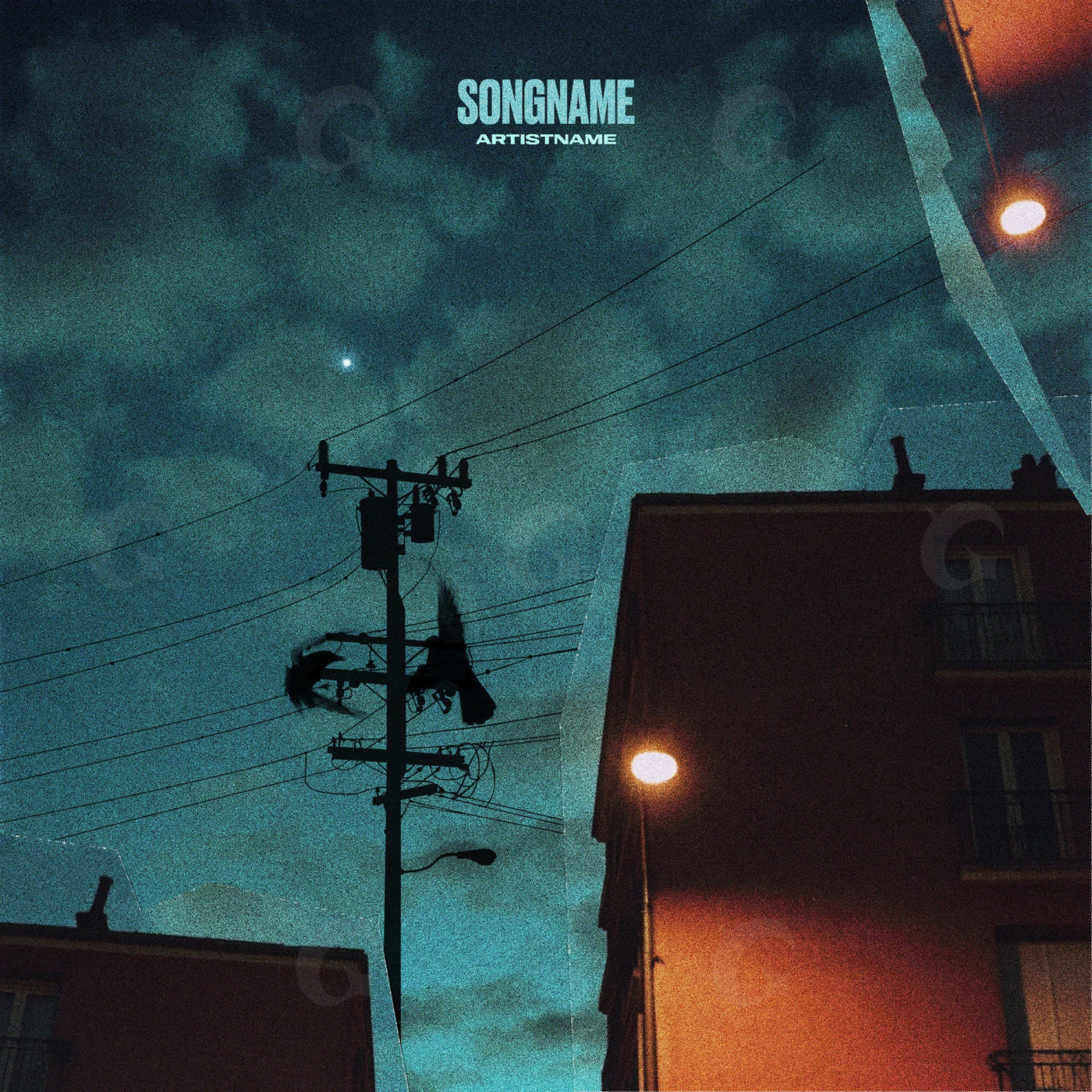 Nighttime wire birds