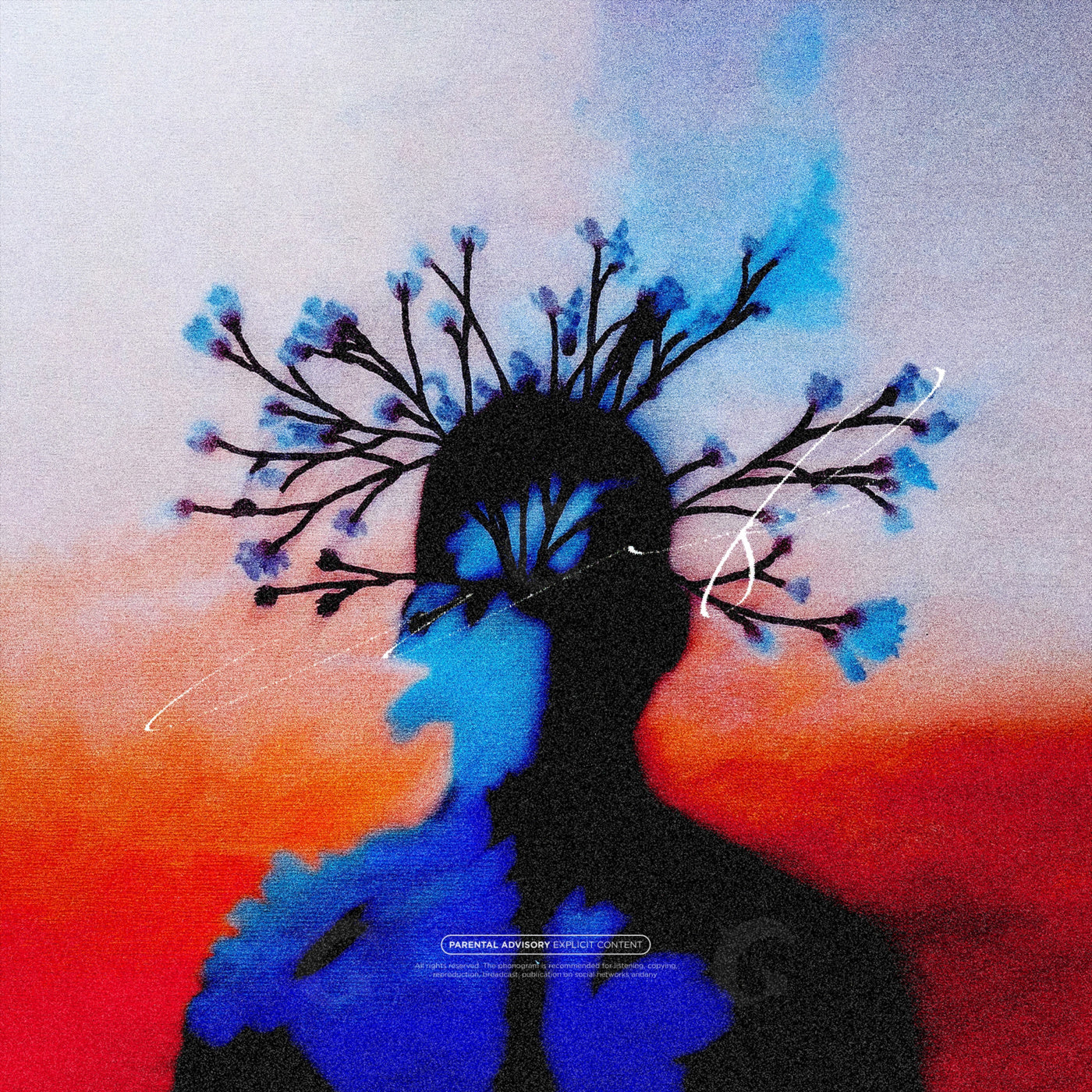 Silhouette with branches