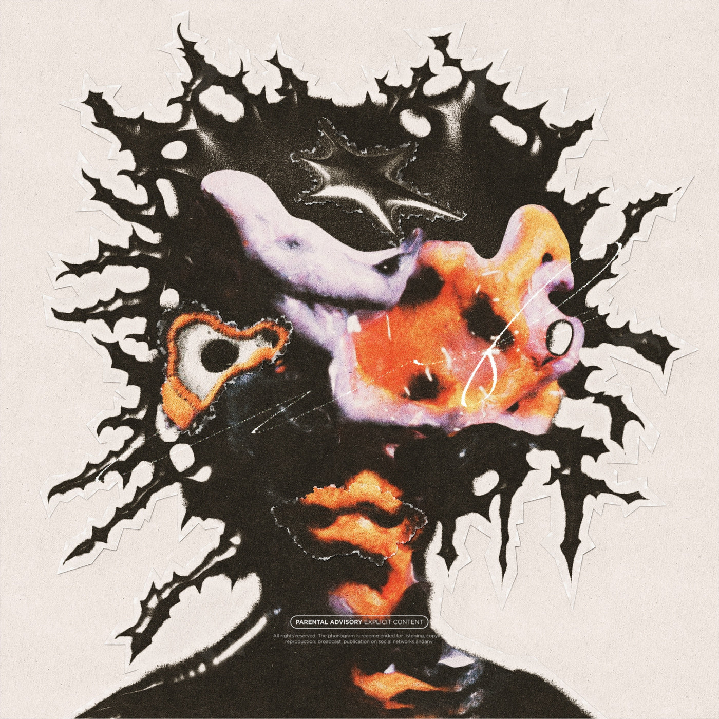 Shattered portrait echo