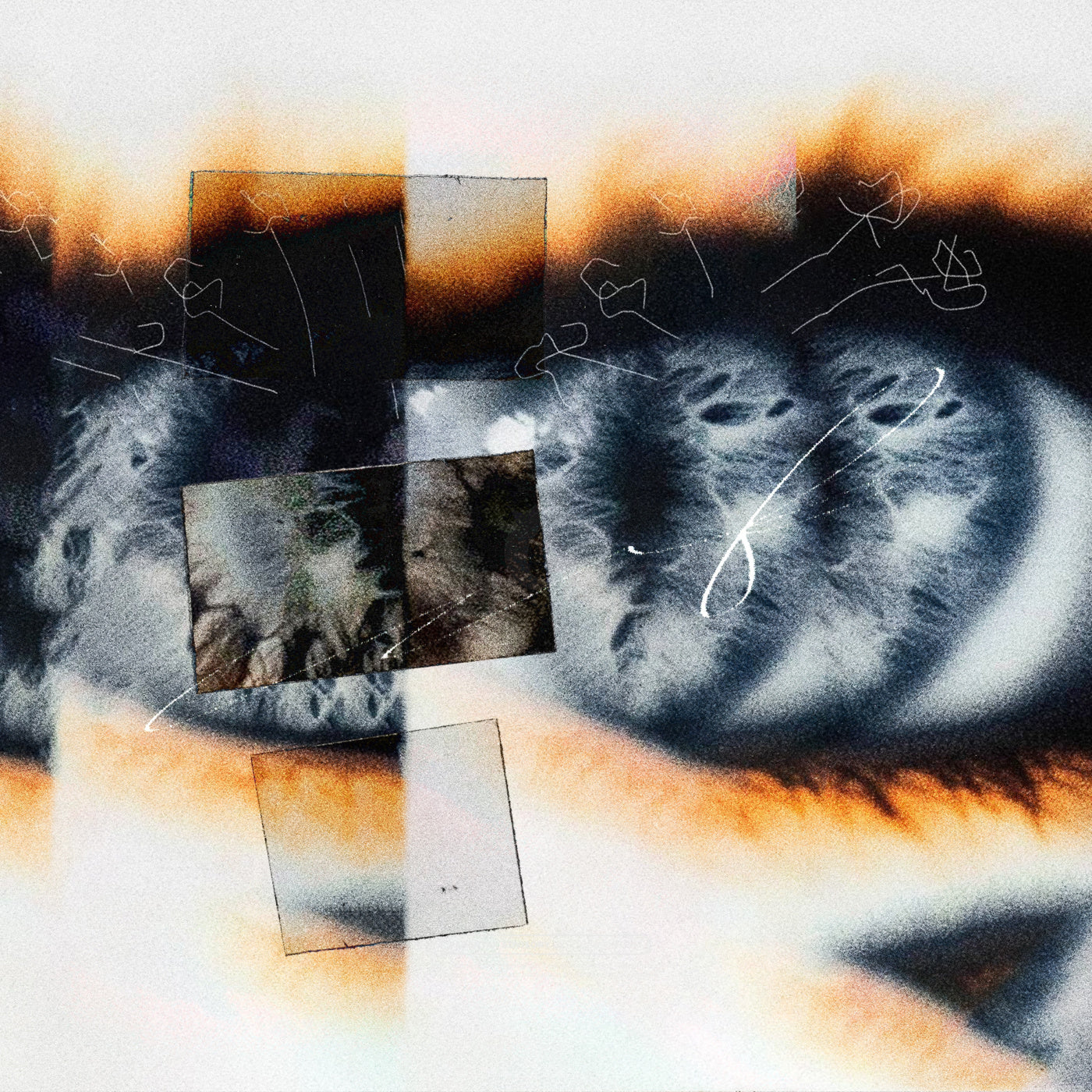 Iris fragmented glance