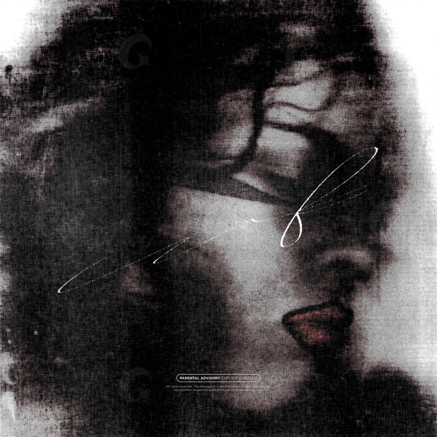 Veiled woman portrait