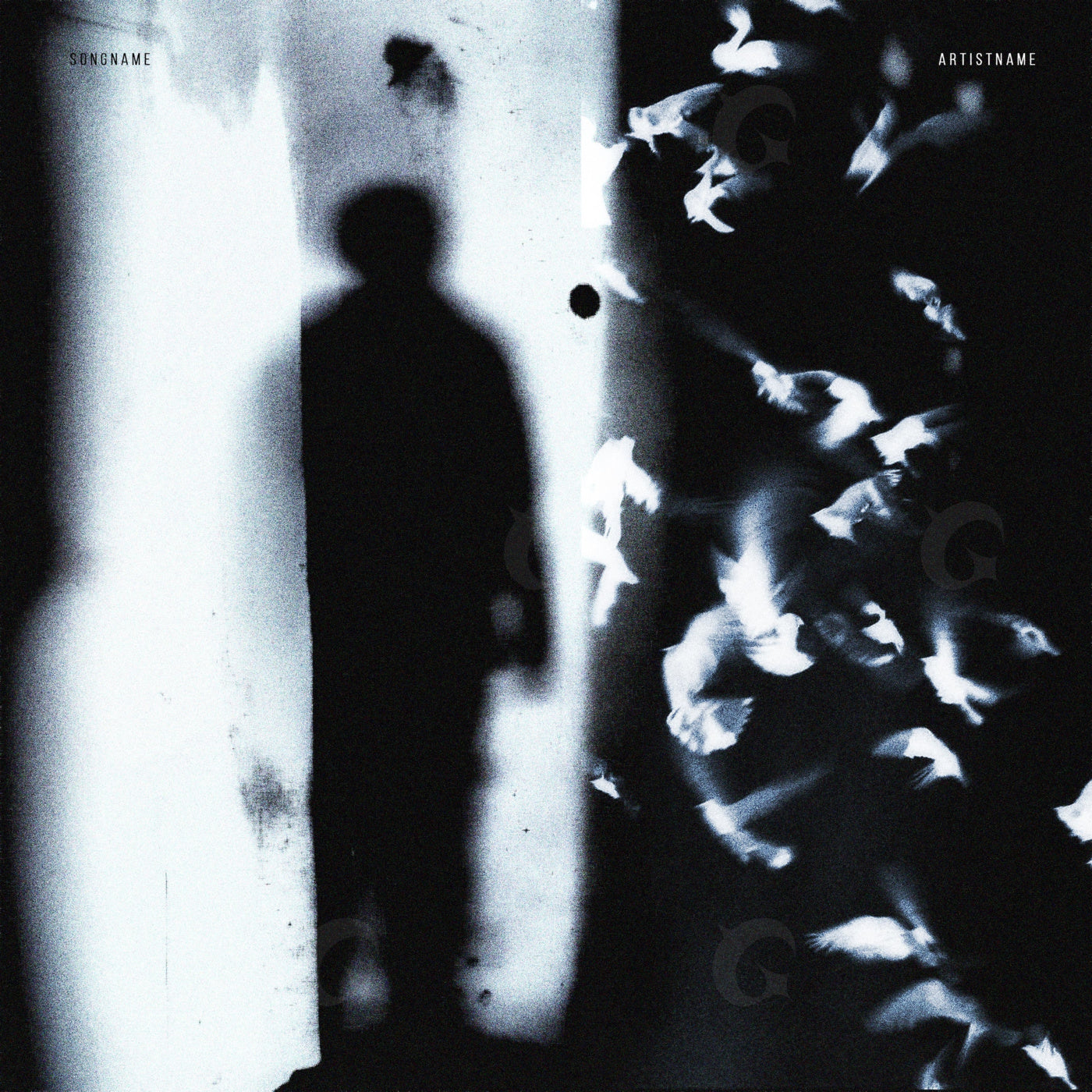 Silhouette among birds