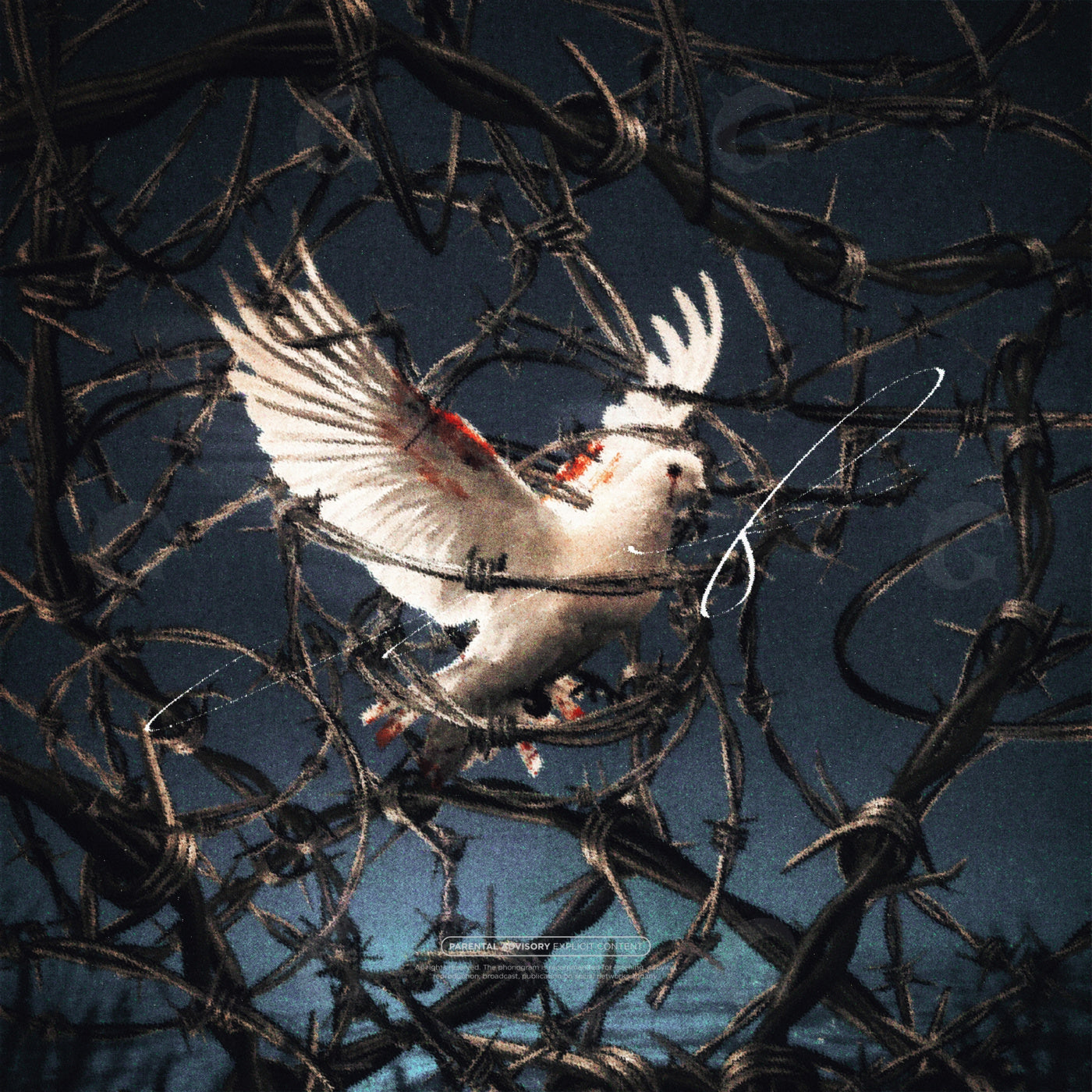 Bird trapped in barbedwire