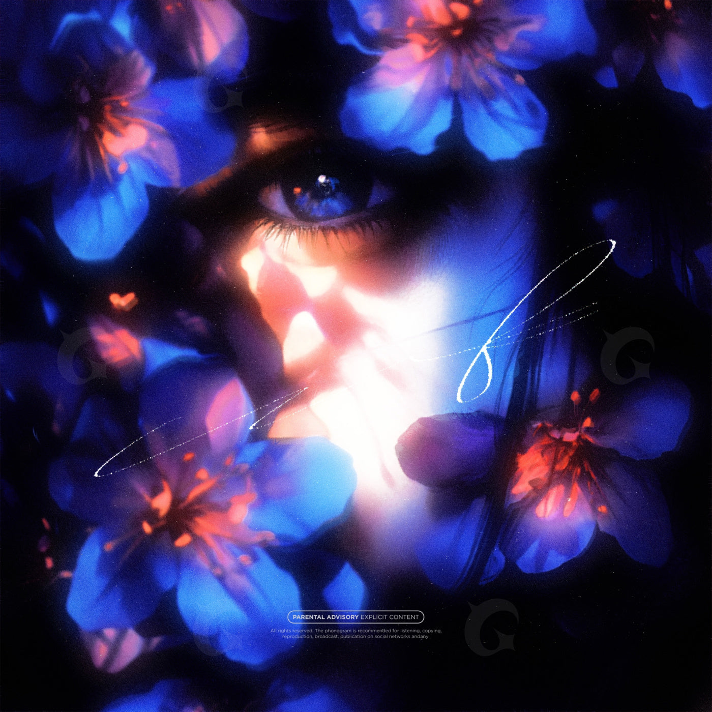 Midnight flower gaze