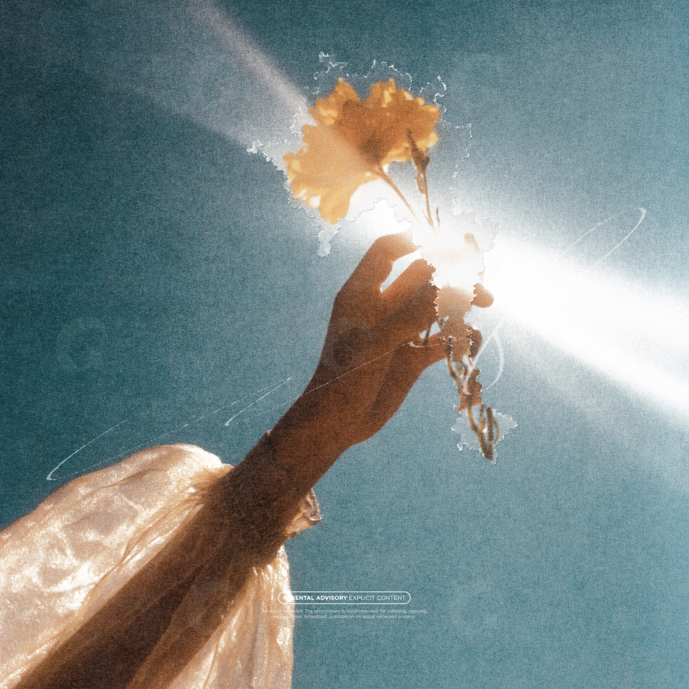 Hand reaching flower