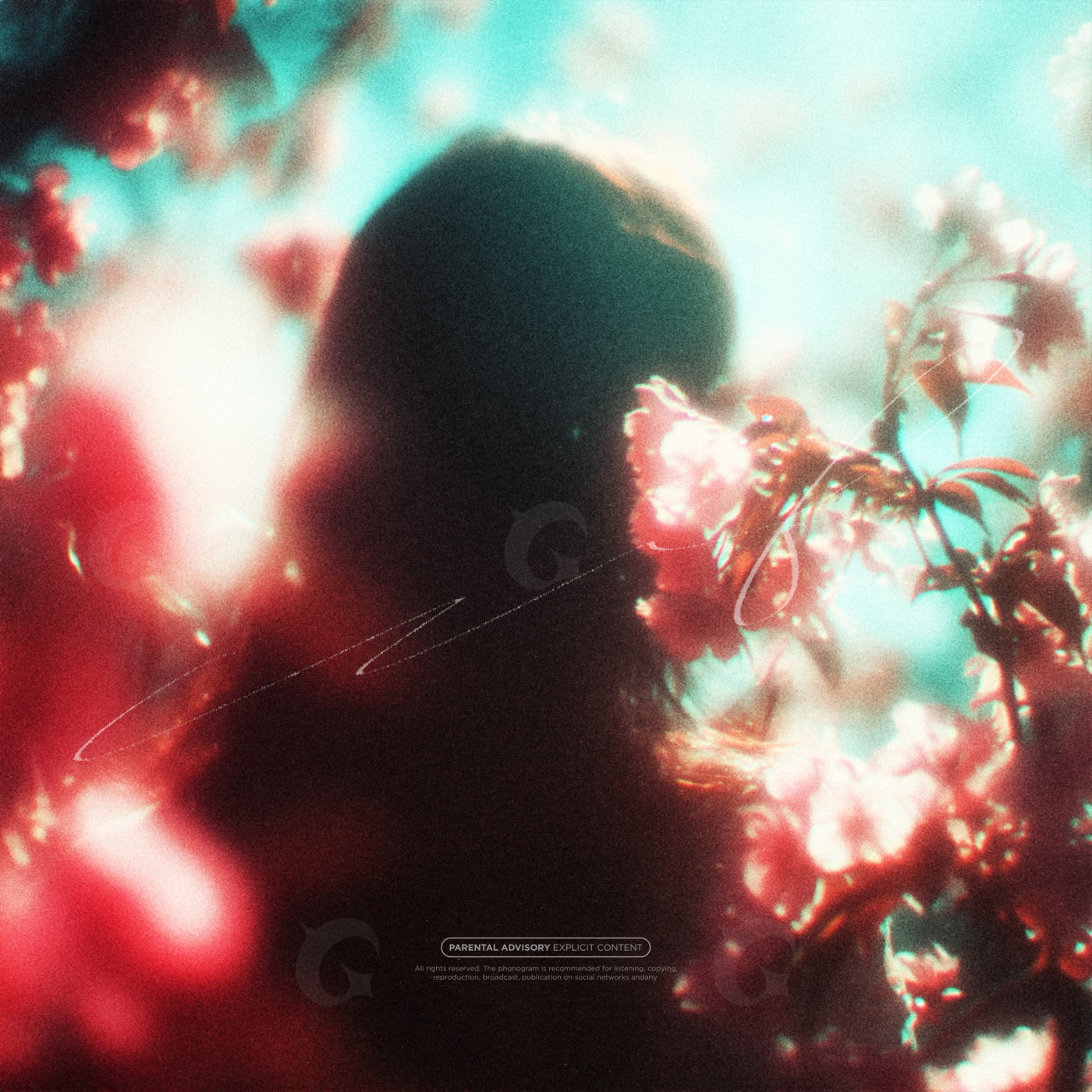 Silhouetted among blooms