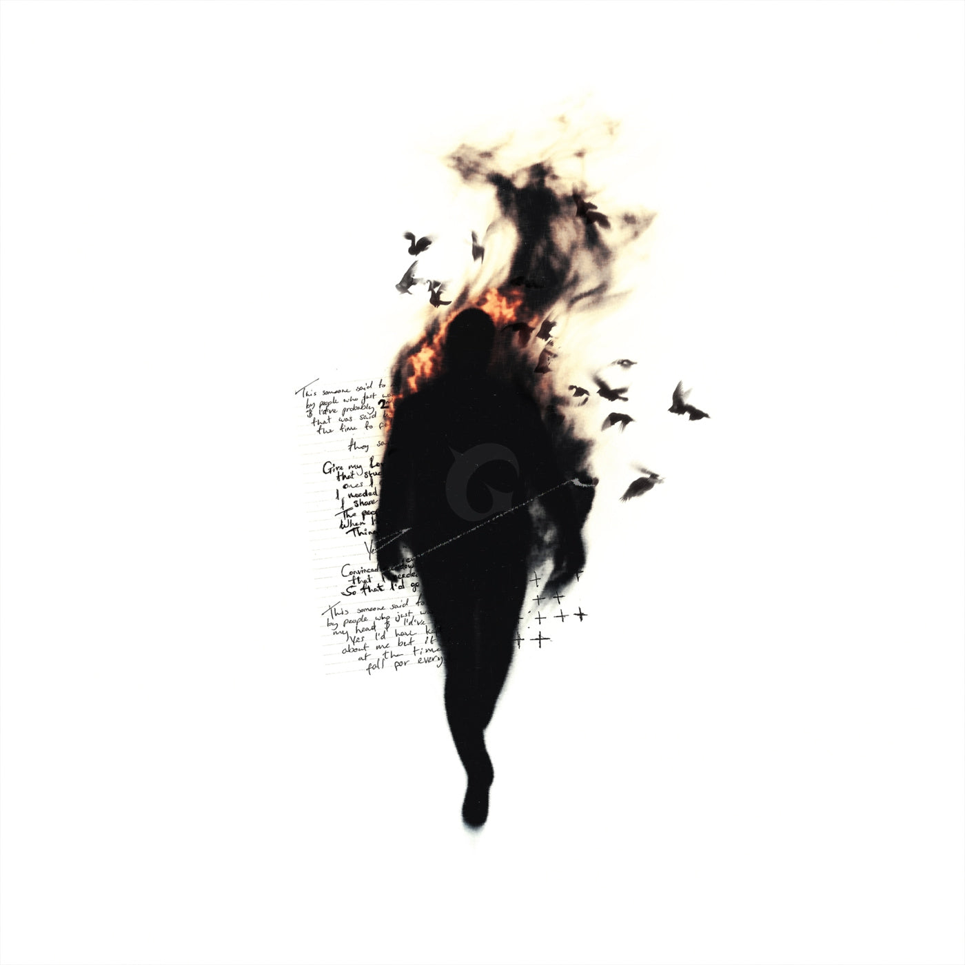 Silhouette amid flying birds