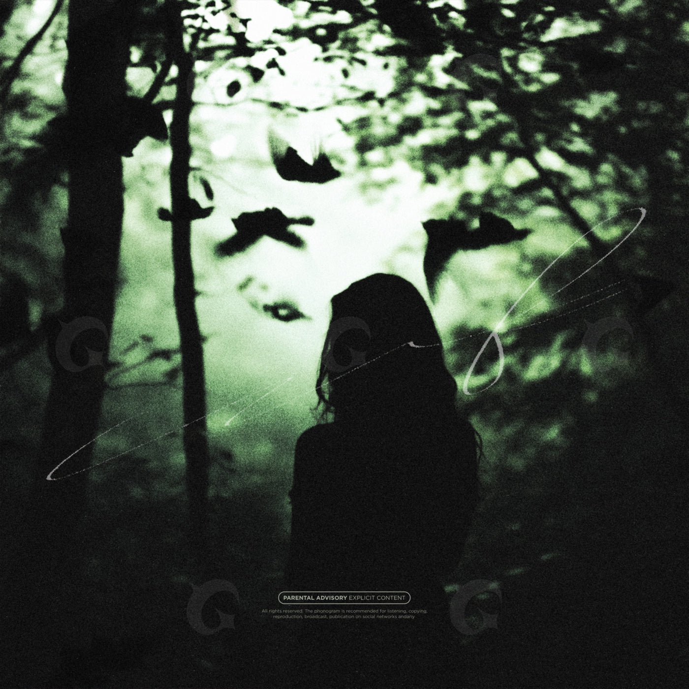 Silhouette among birds