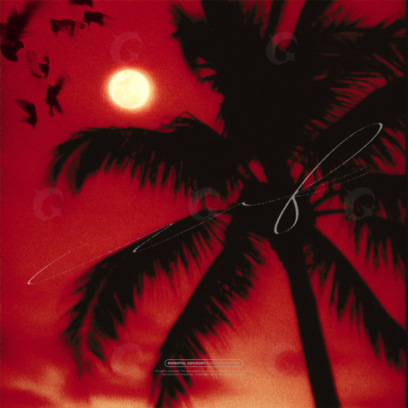 Moonlit palm night