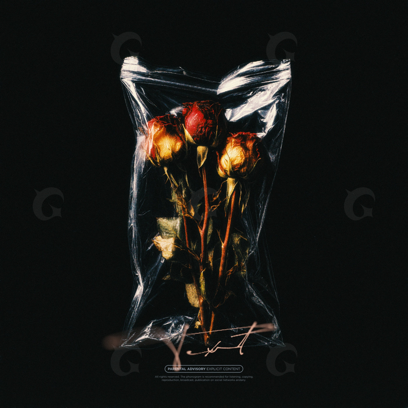 Withered rose trio