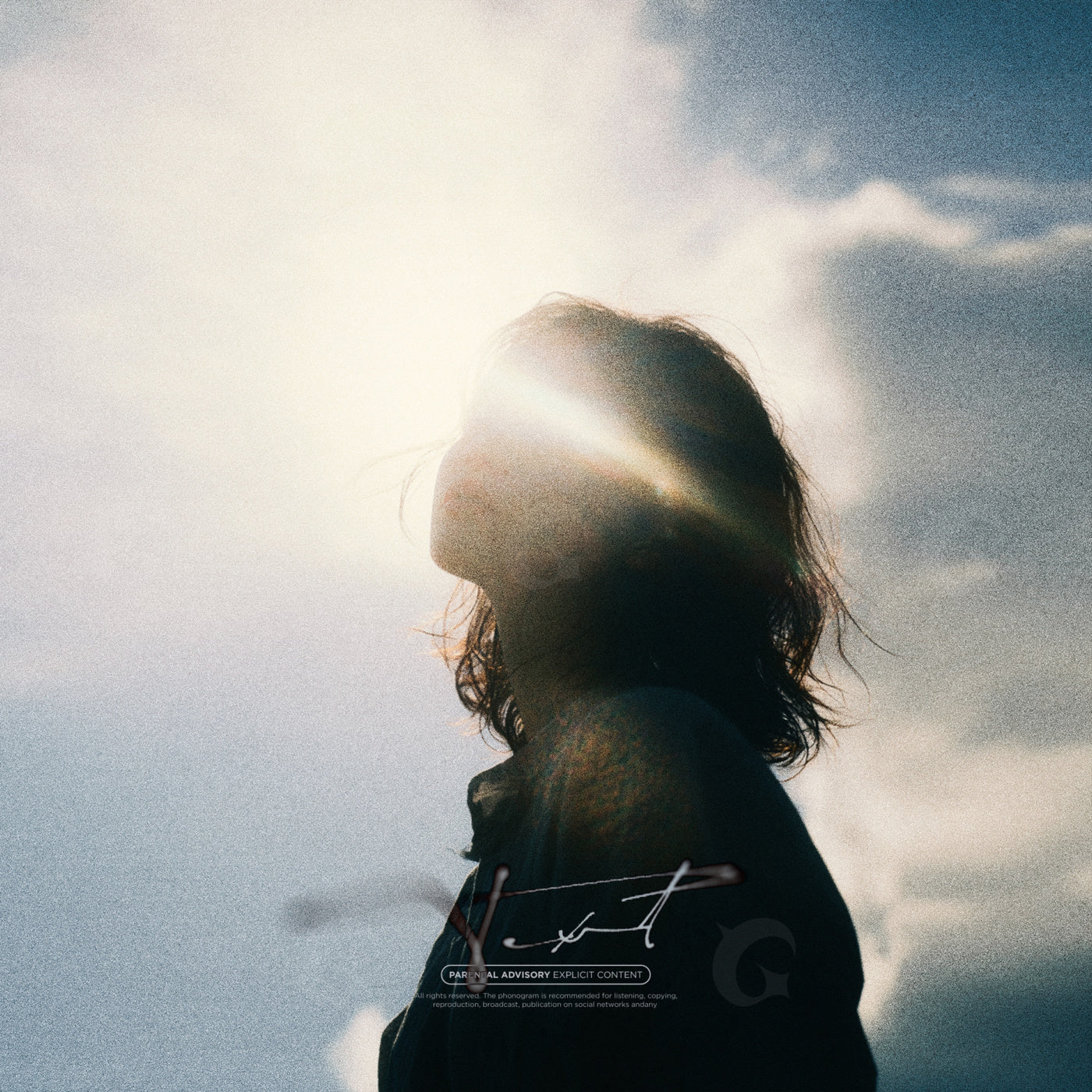 Sunlit silhouette moment