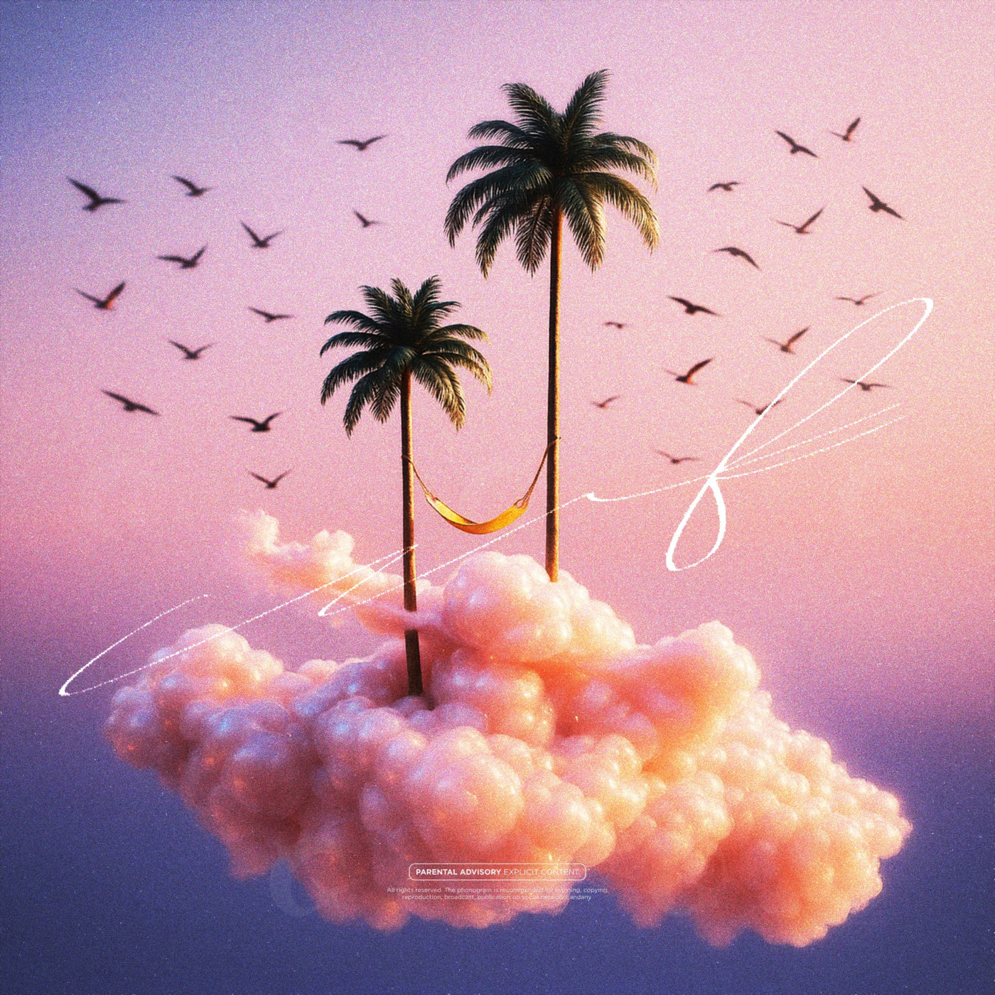 Palm island dream
