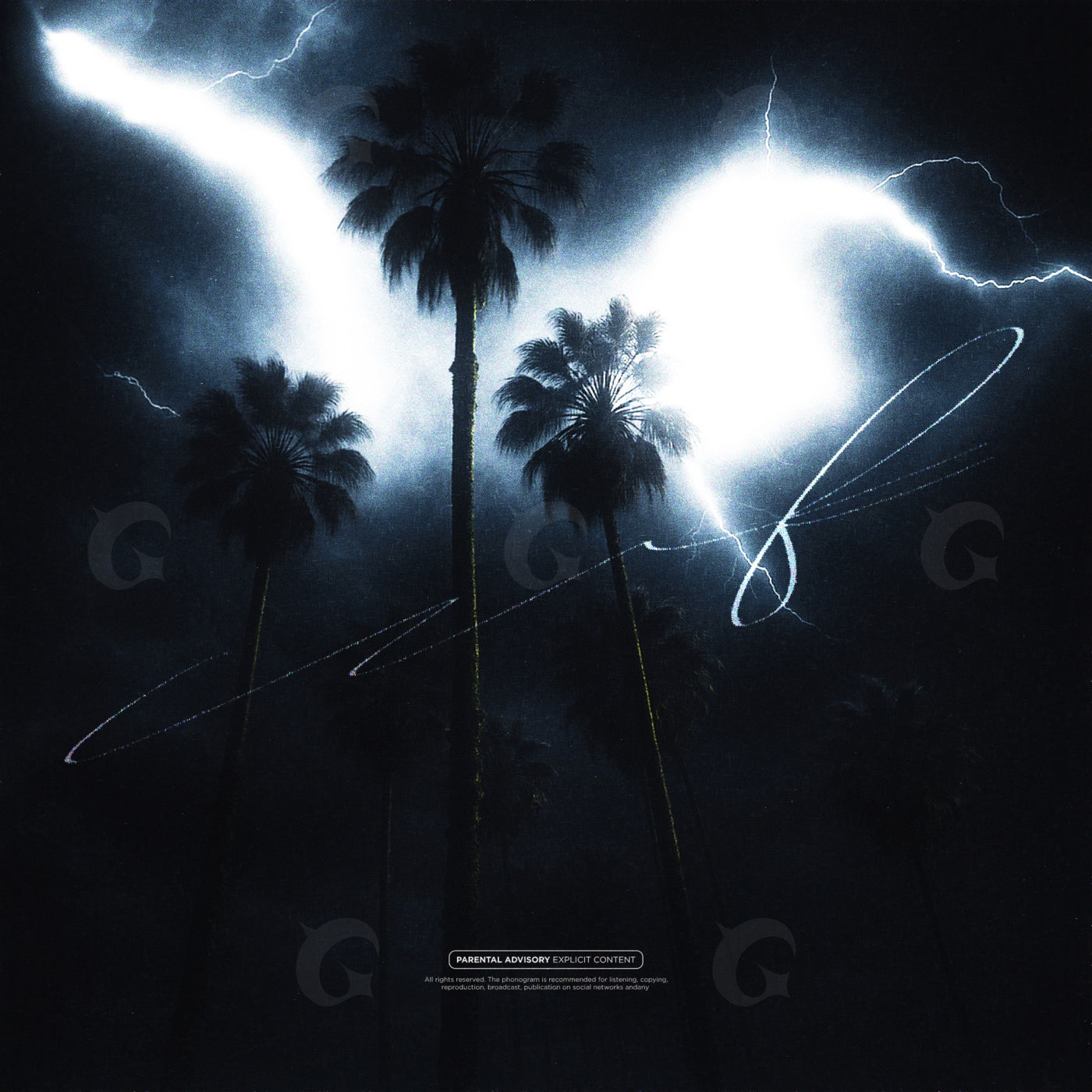 Palms under lightning