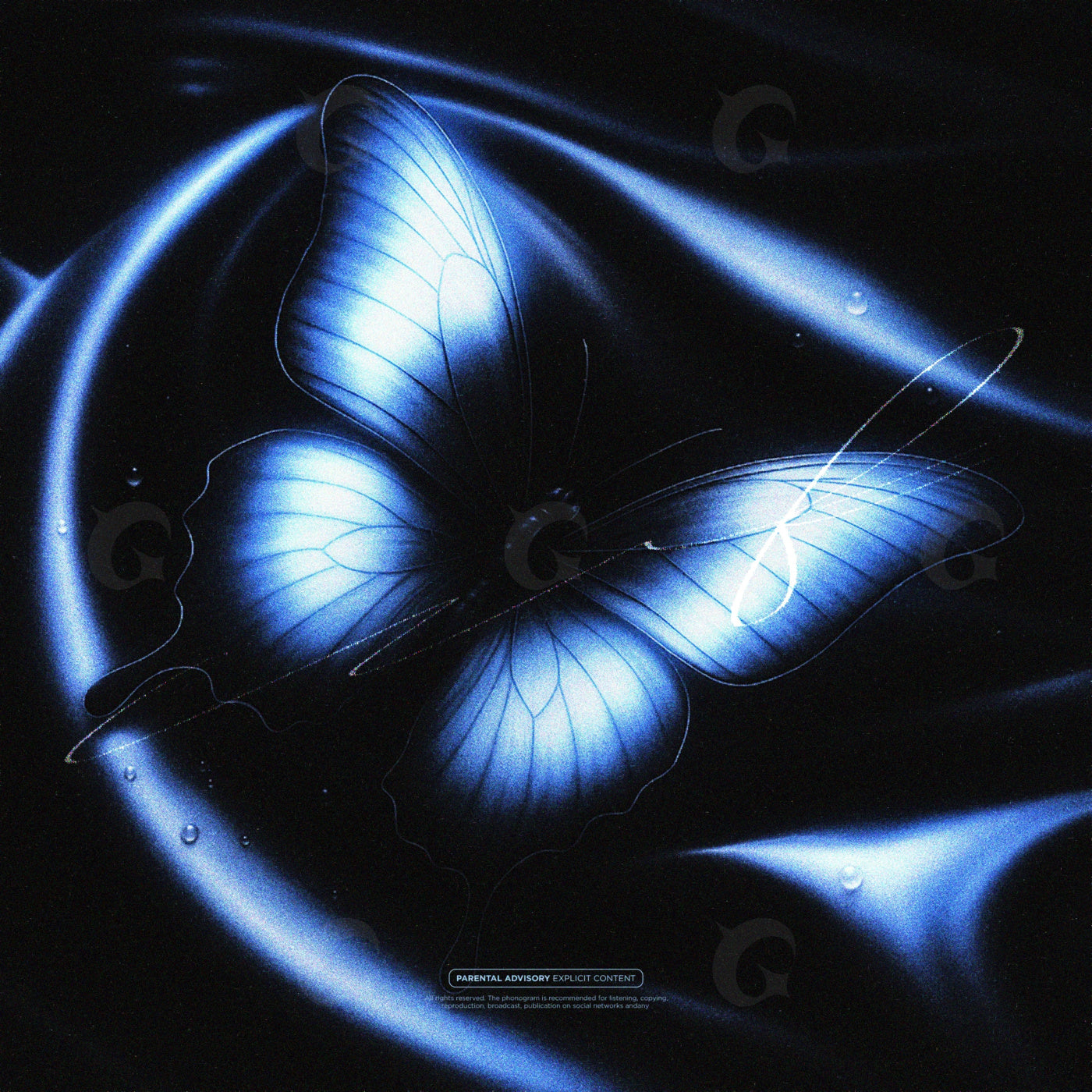 Midnight silk butterfly