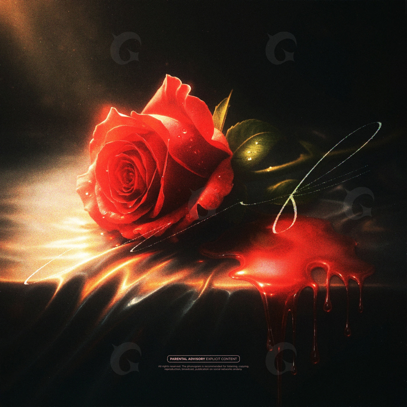 Rose over silent pool
