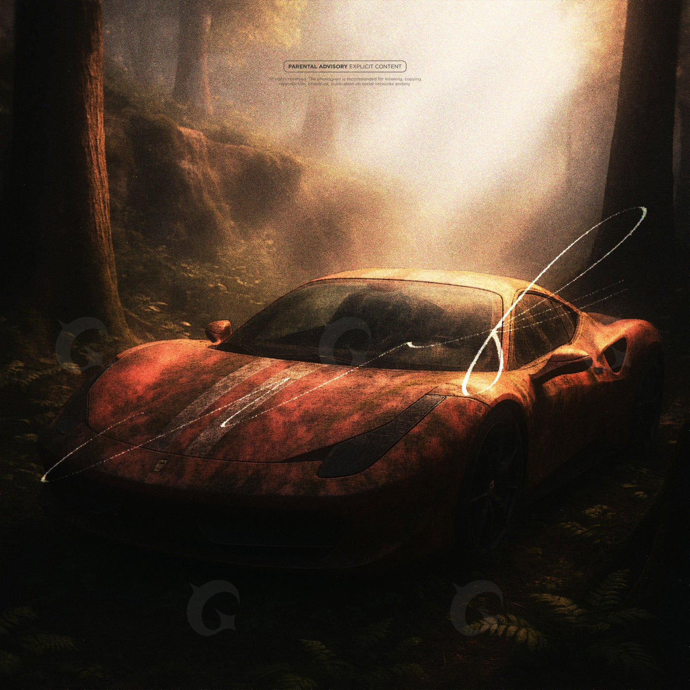Forest night drive