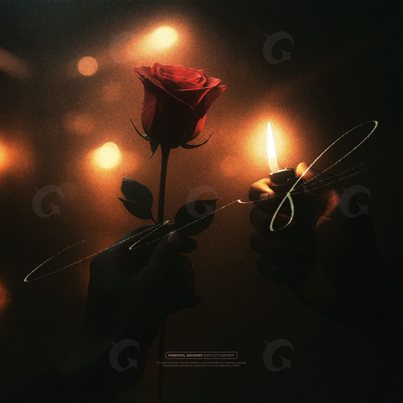 Rose between flames
