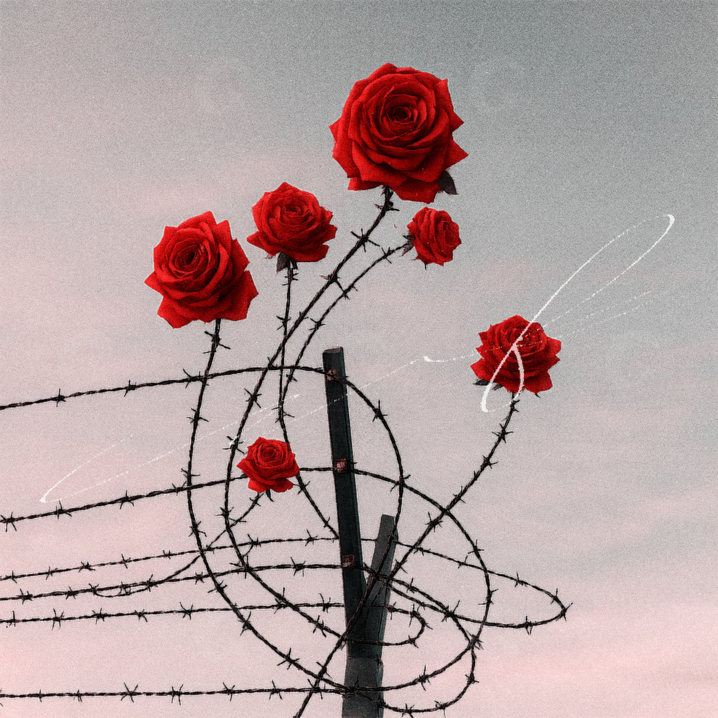 Thorns around roses