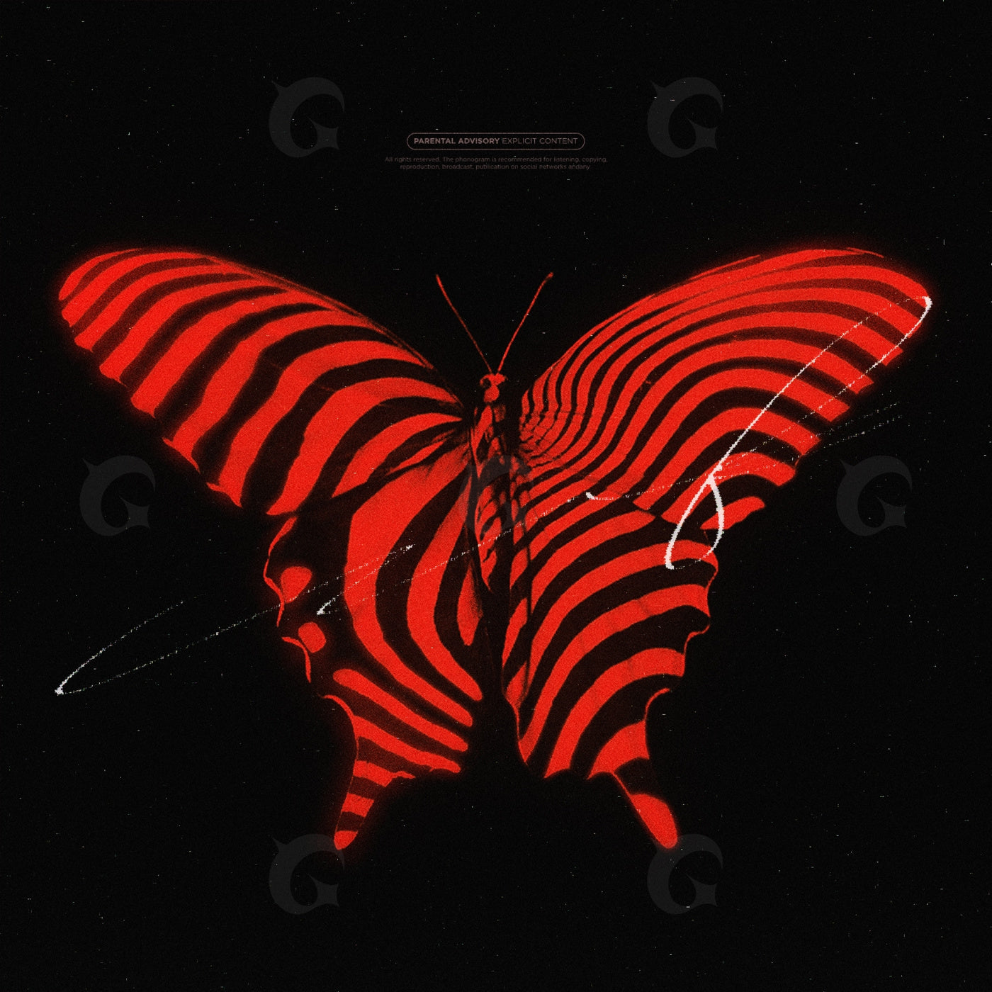 Striped moth wings