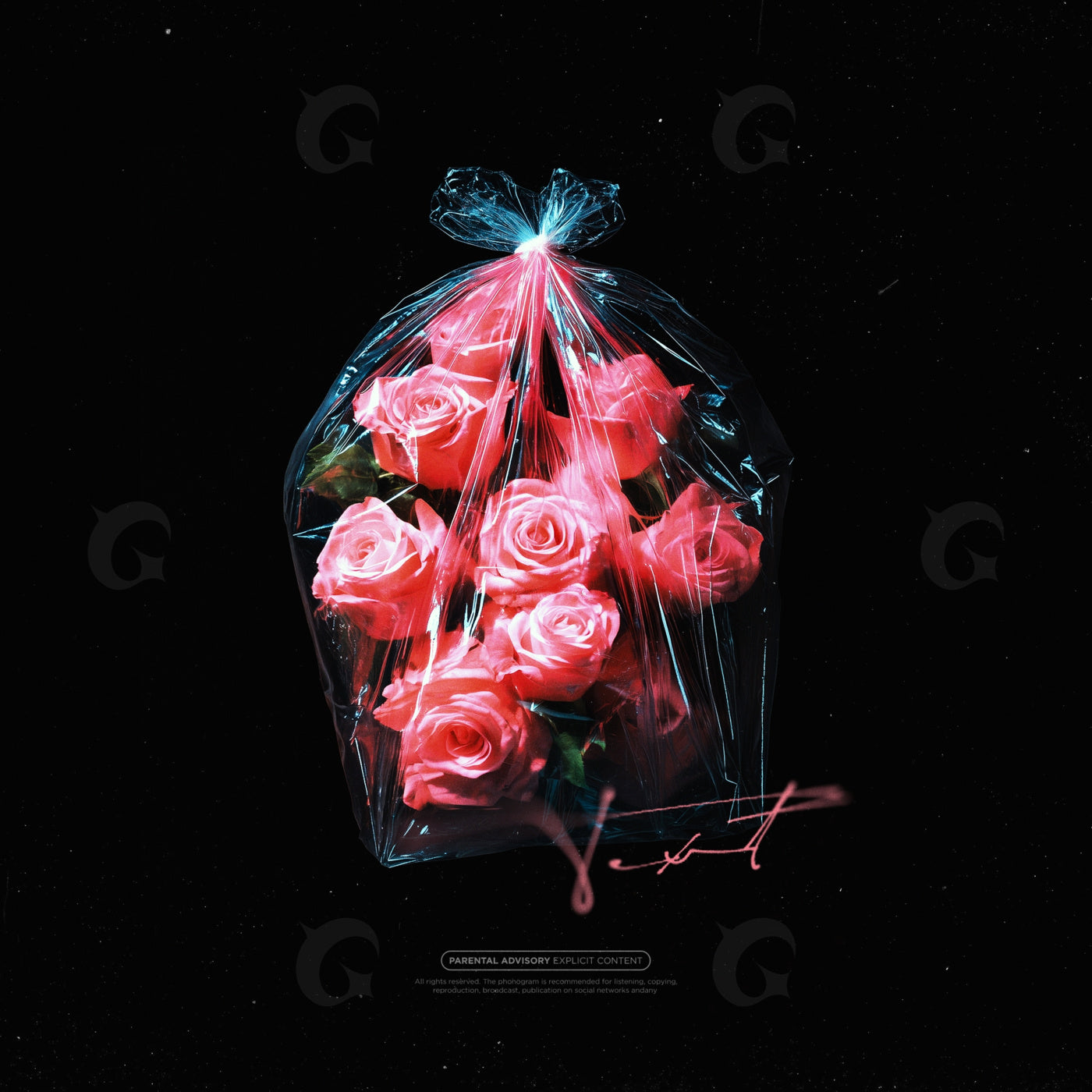Roses in plastic