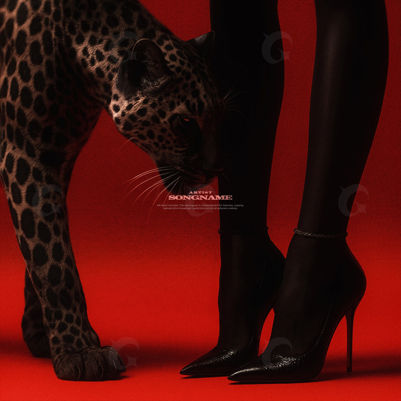 Leopard beside heels