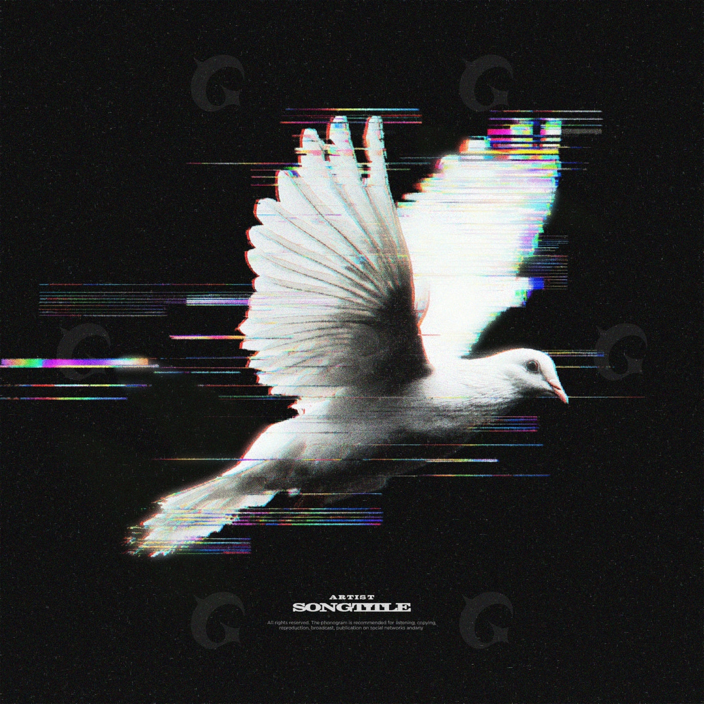 Dove in flight